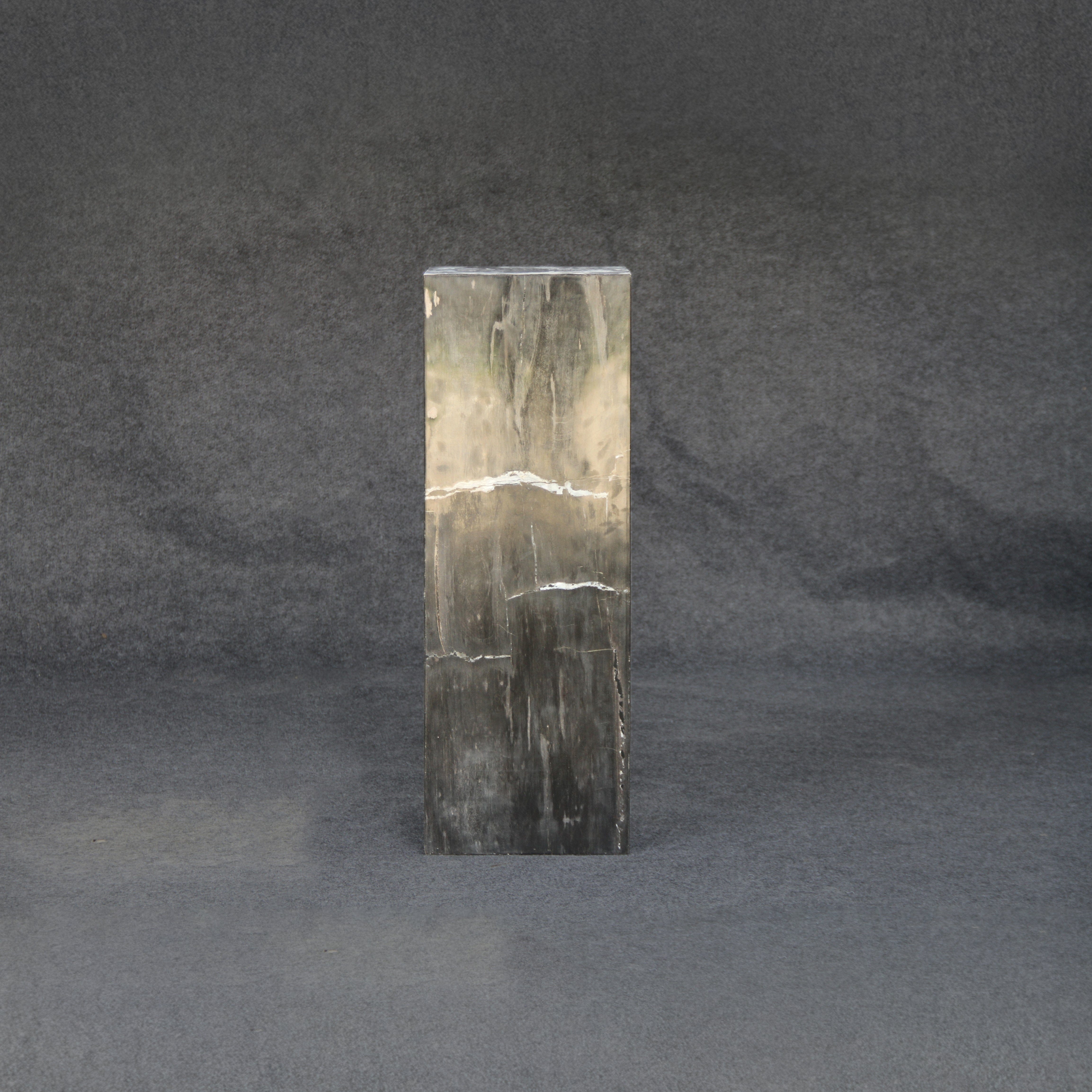 Kalifano Petrified Wood Black Petrified Wood Hollow Square Pedestal 39" / 165 lbs PWP8000.028