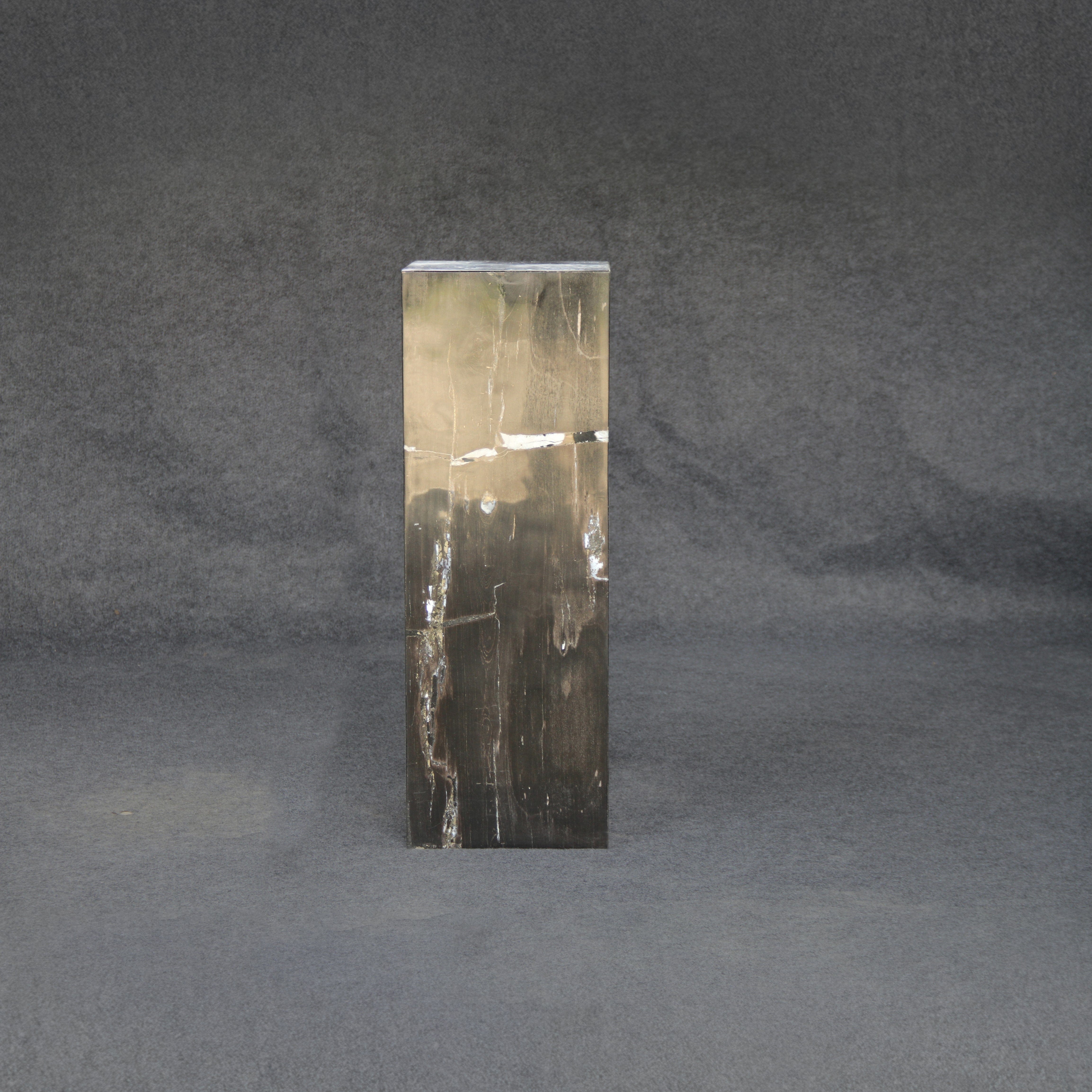 Kalifano Petrified Wood Black Petrified Wood Hollow Square Pedestal 39" / 165 lbs PWP8000.031