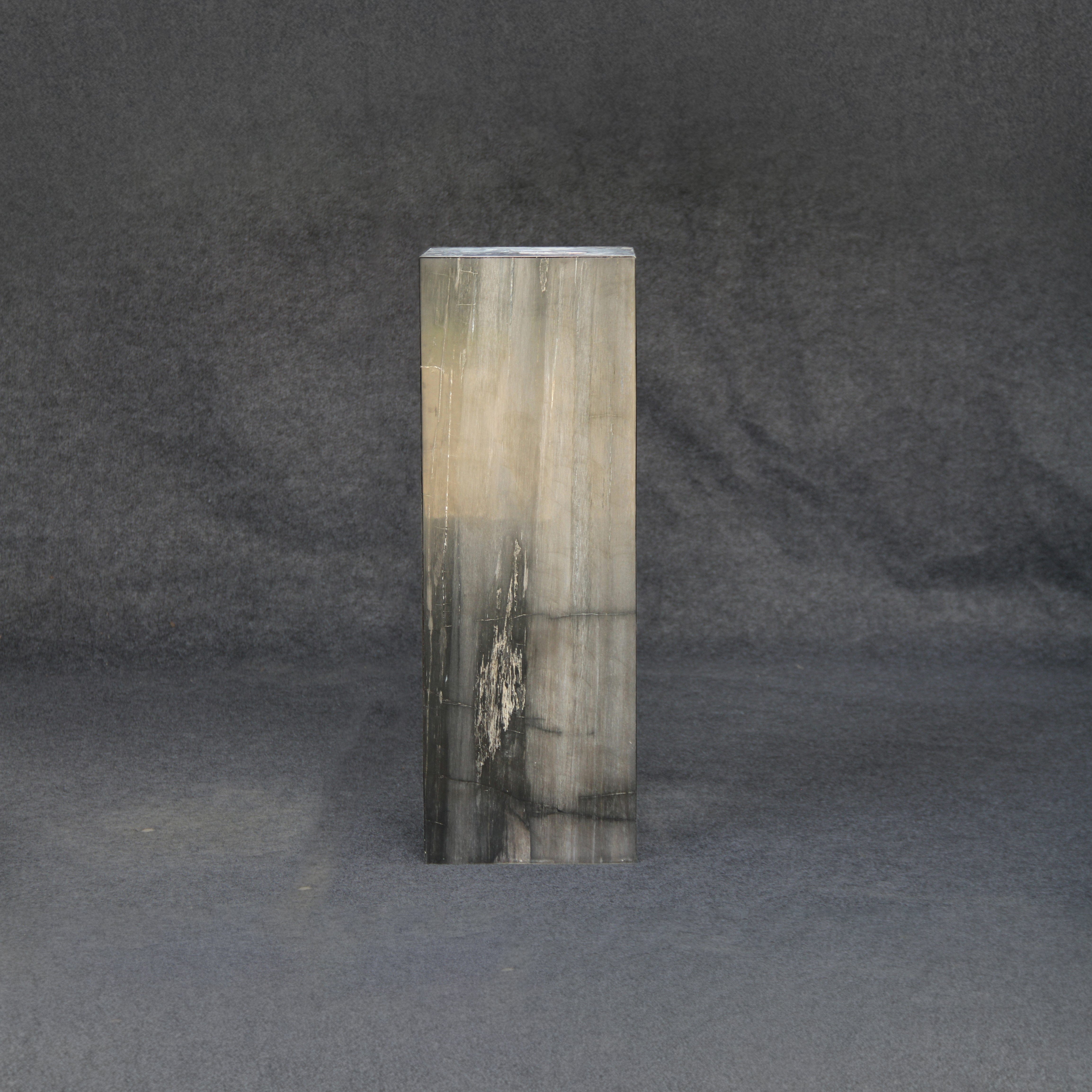 Kalifano Petrified Wood Black Petrified Wood Hollow Square Pedestal 39" / 170 lbs PWP8000.029