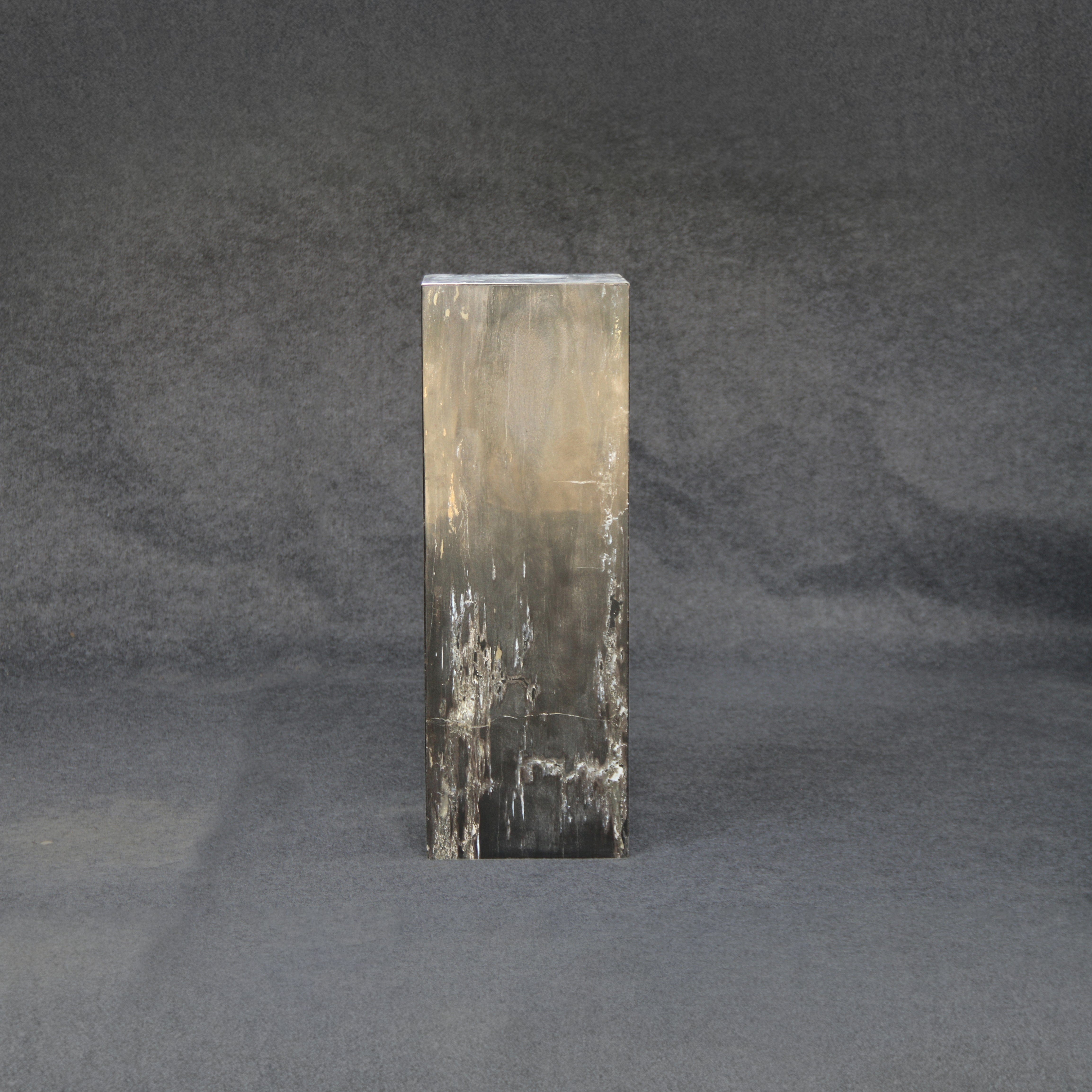 Kalifano Petrified Wood Black Petrified Wood Hollow Square Pedestal 39" / 172 lbs PWP8000.030