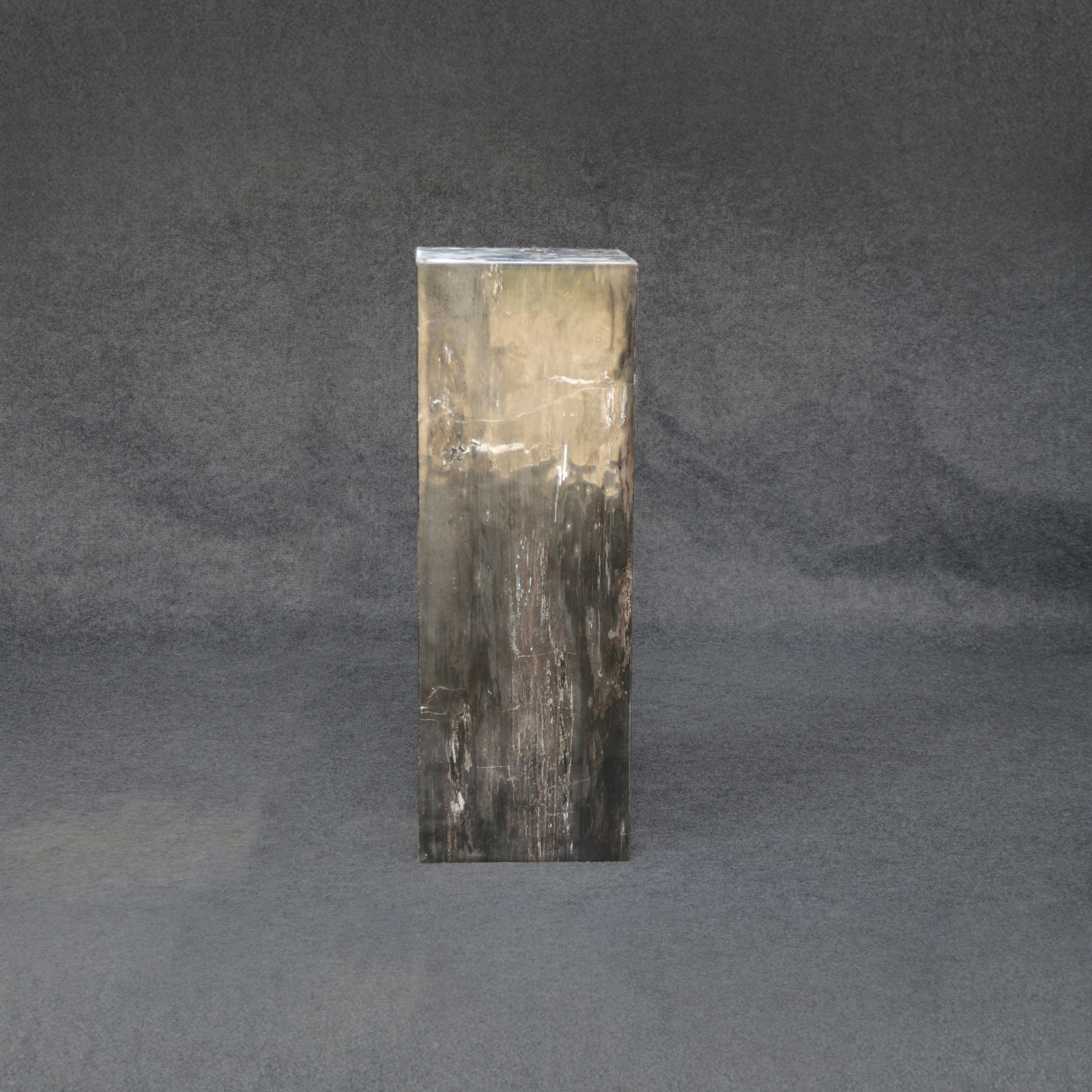 Kalifano Petrified Wood Black Petrified Wood Hollow Square Pedestal 39" / 172 lbs PWP8000.033