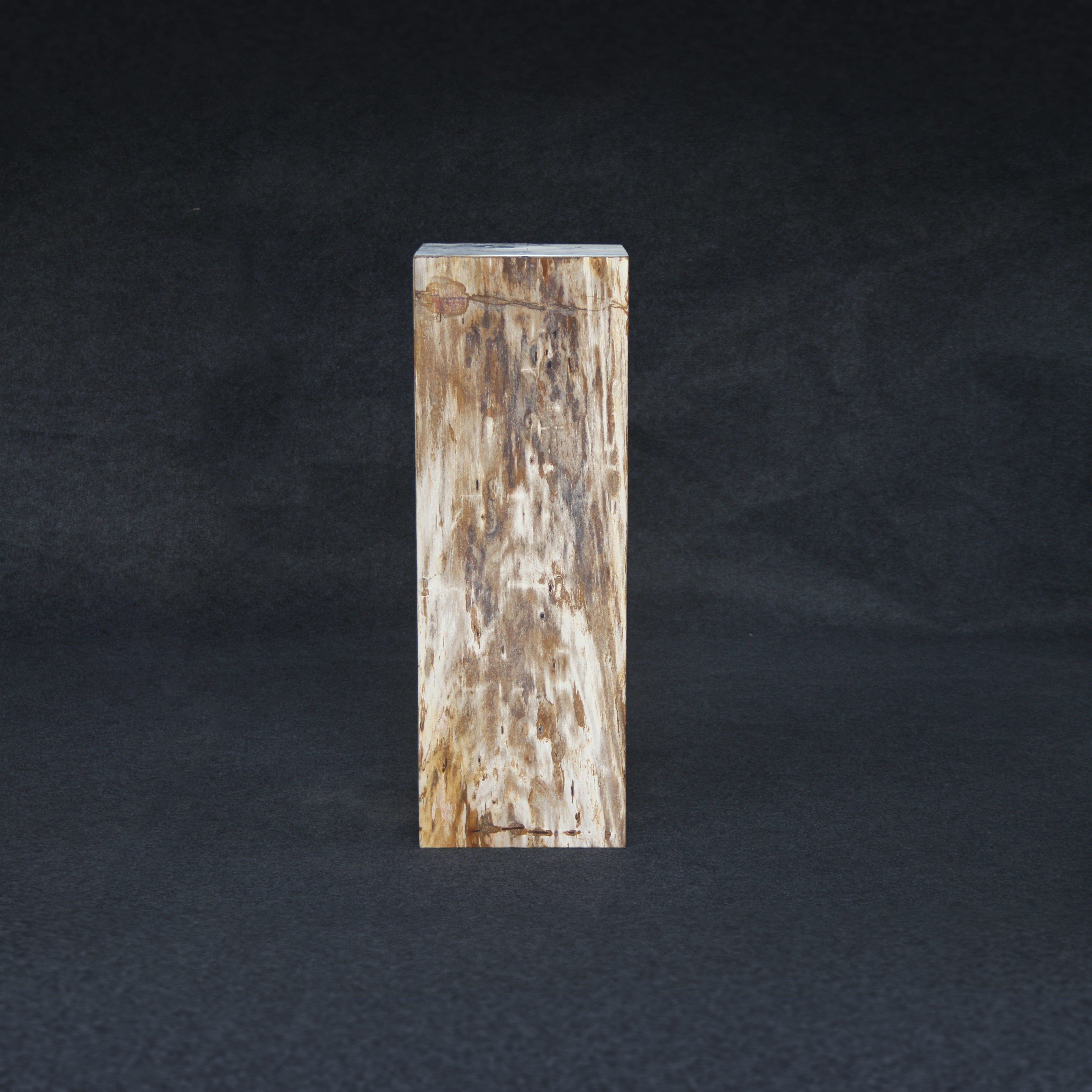 Kalifano Petrified Wood Brown Petrified Wood Hollow Square Pedestal 39" / 157 lbs PWP8000.019