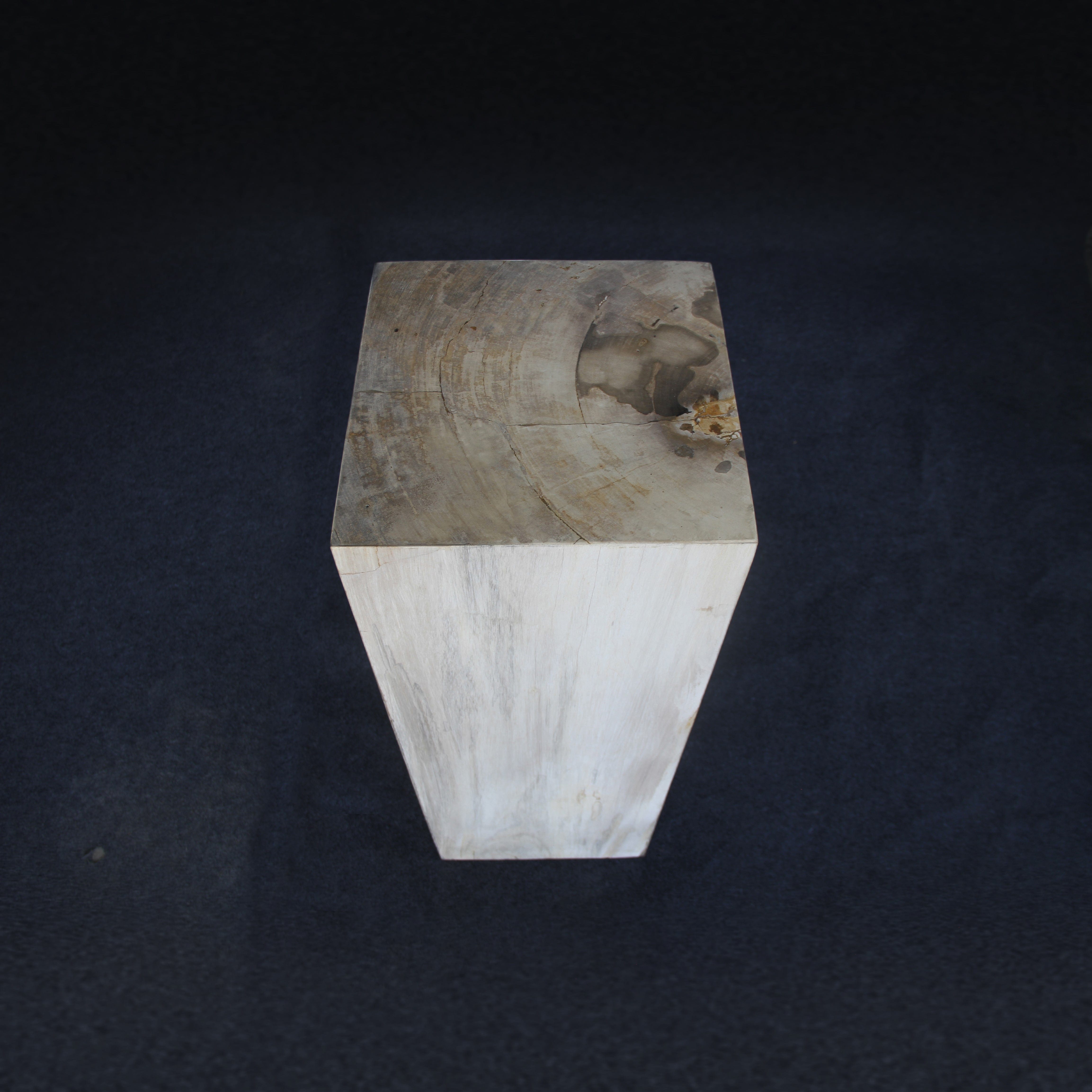 Kalifano Petrified Wood Brown Petrified Wood Hollow Square Pedestal 39" / 163 lbs PWP8000.022