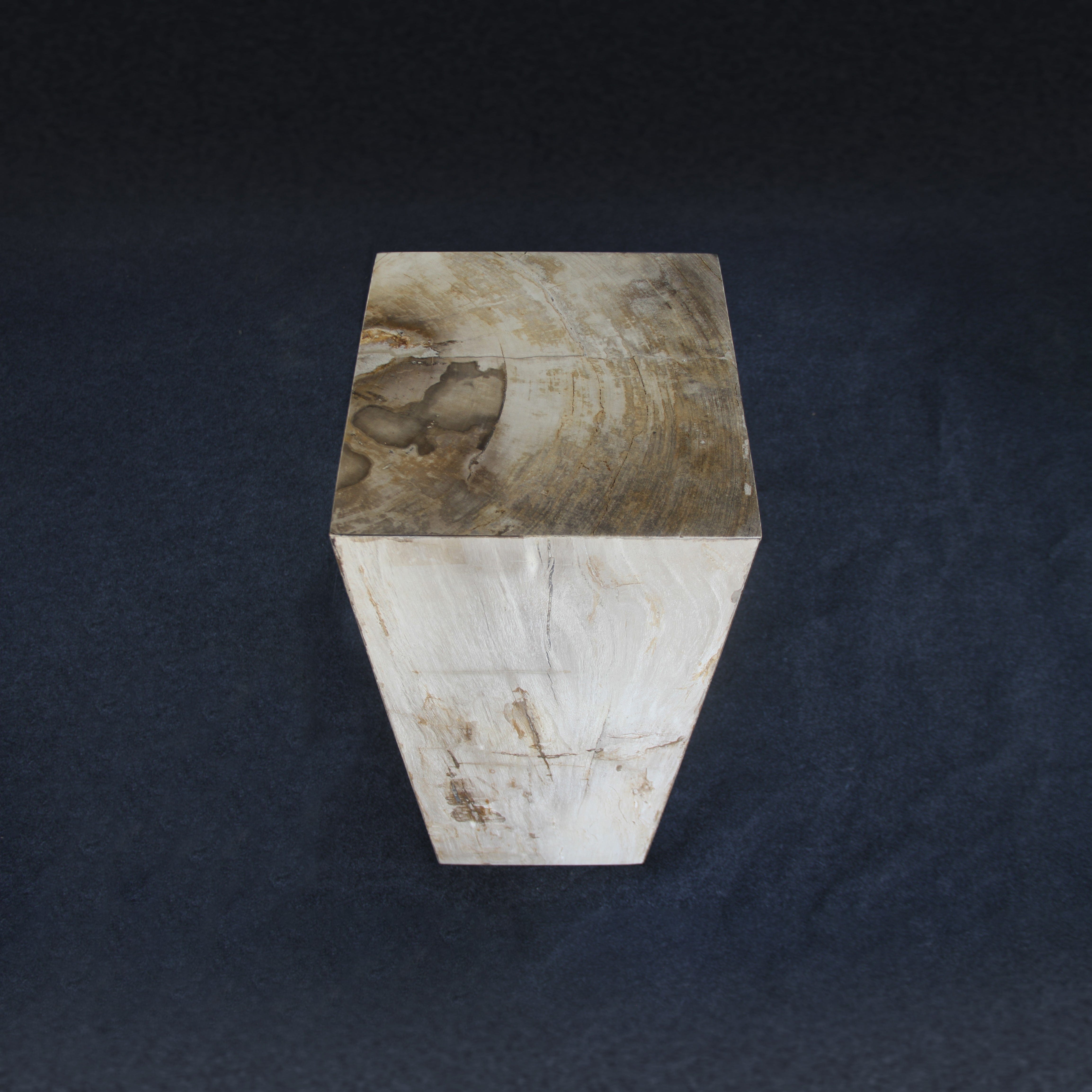 Kalifano Petrified Wood Brown Petrified Wood Hollow Square Pedestal 39" / 165 lbs PWP8000.024
