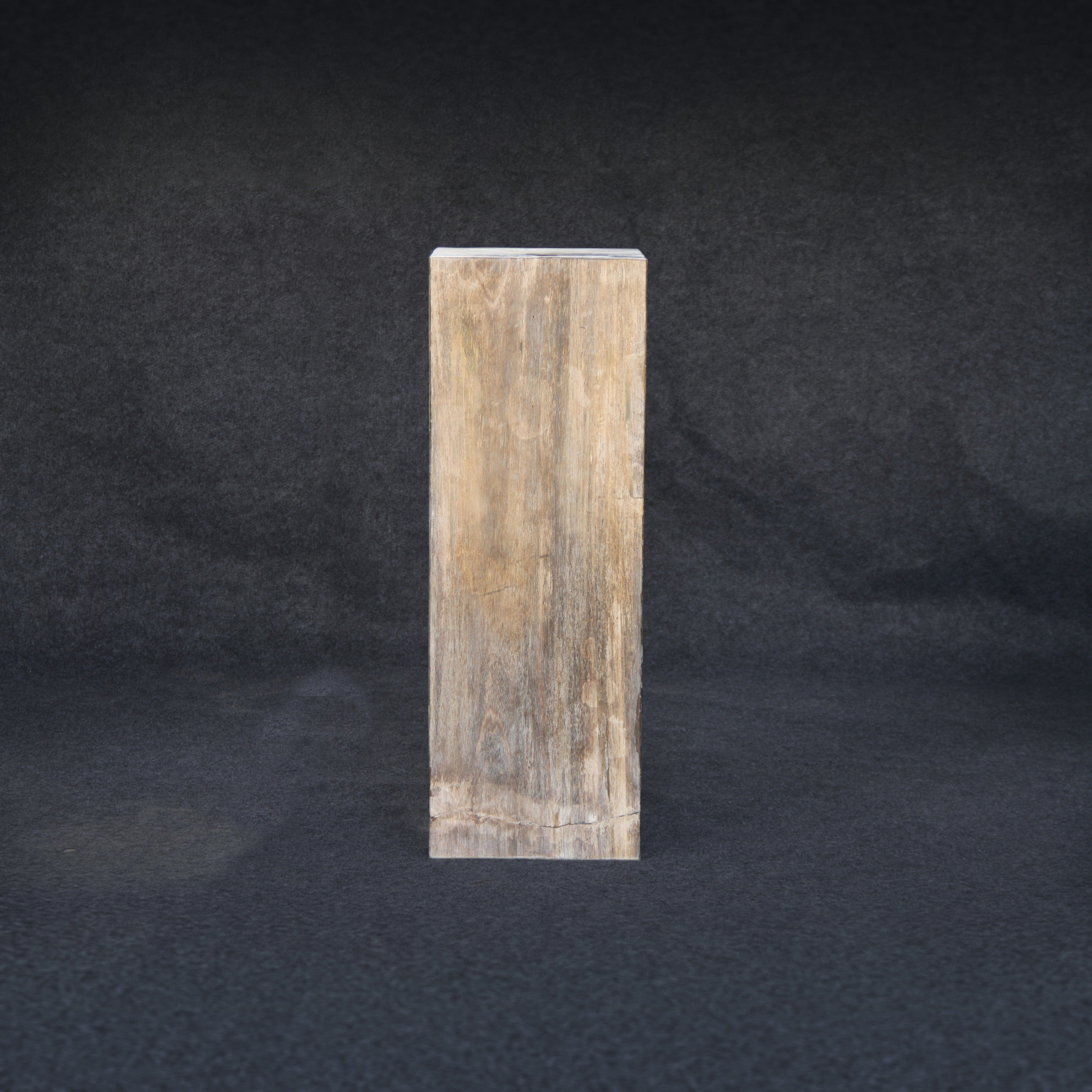Kalifano Petrified Wood Brown Petrified Wood Hollow Square Pedestal 39" / 174 lbs PWP8000.023