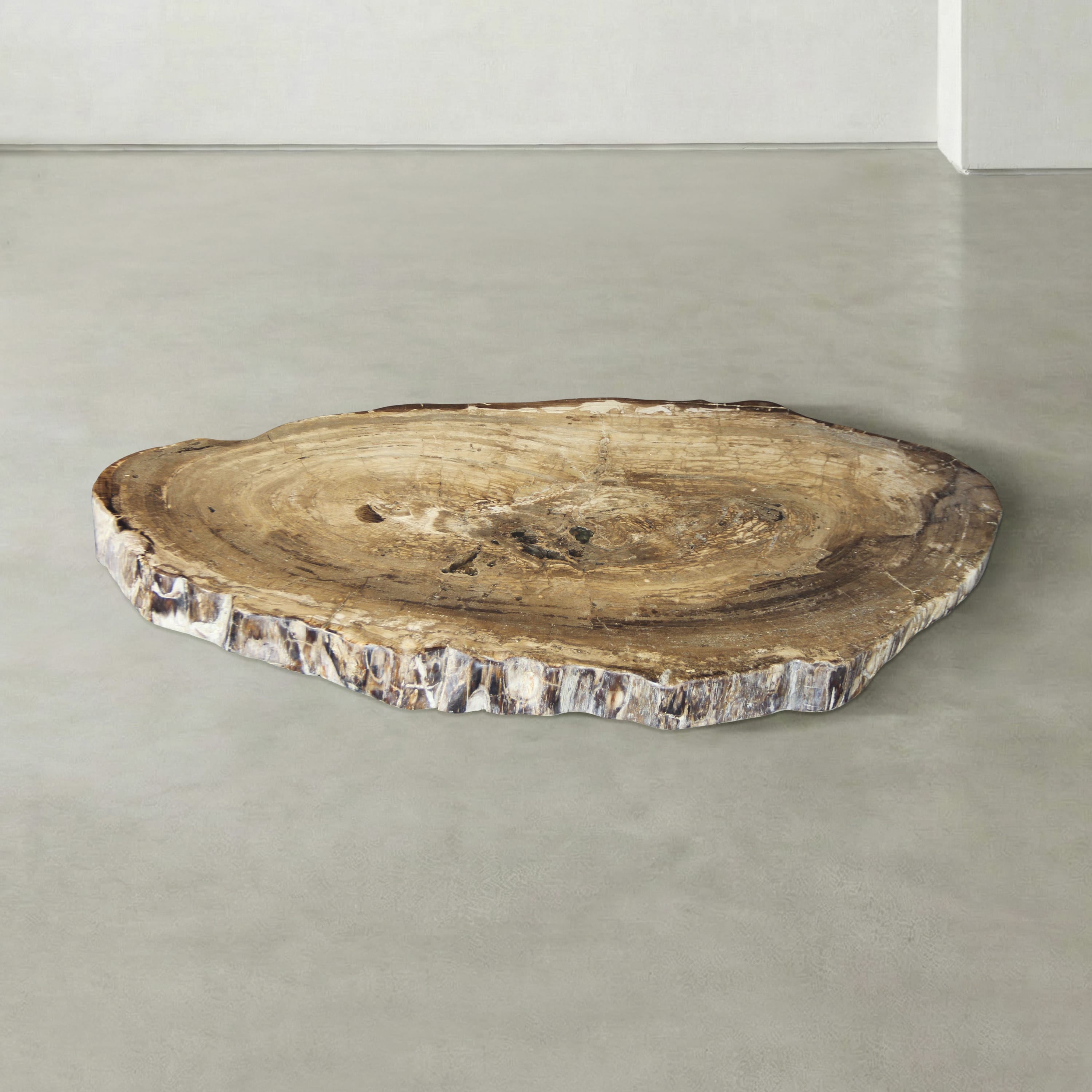 Kalifano Petrified Wood Natural Petrified Wood Round Slab Coffee Table from East Indonesia - 42" / 155 lbs PWT9000.005