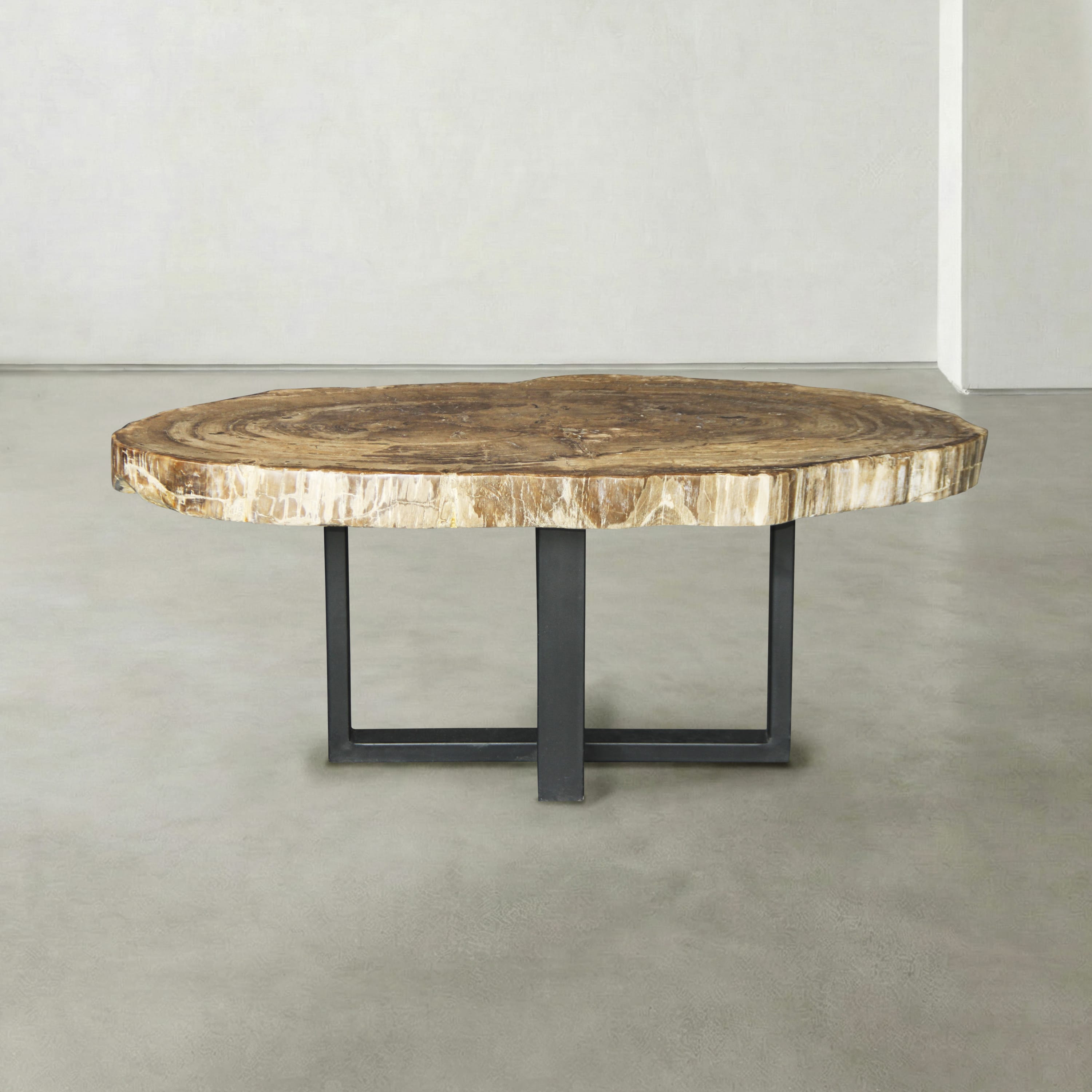 Kalifano Petrified Wood Natural Petrified Wood Round Slab Coffee Table from East Indonesia - 42" / 183 lbs PWT11250.001