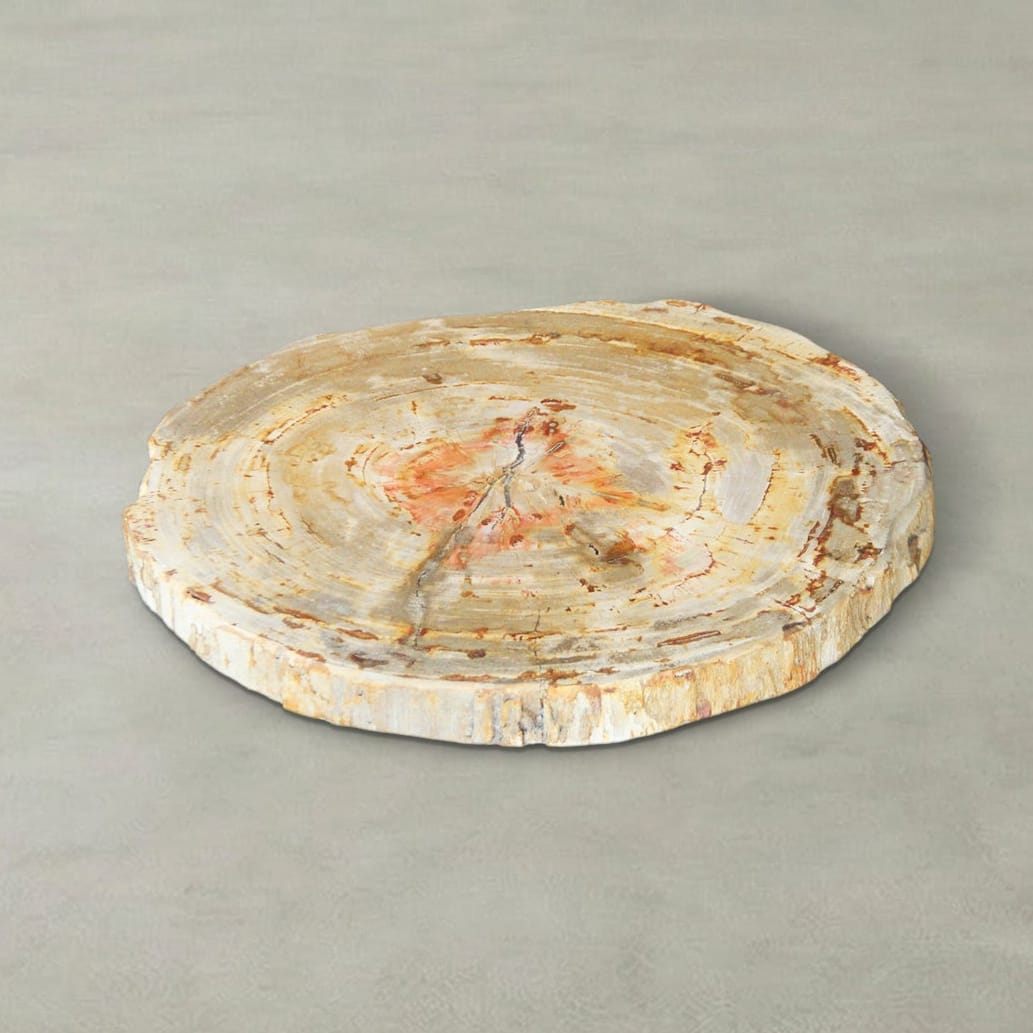 Kalifano Petrified Wood Natural Petrified Wood Round Slab Coffee Table from Indonesia - 17" / 22 lbs PWT1300.003