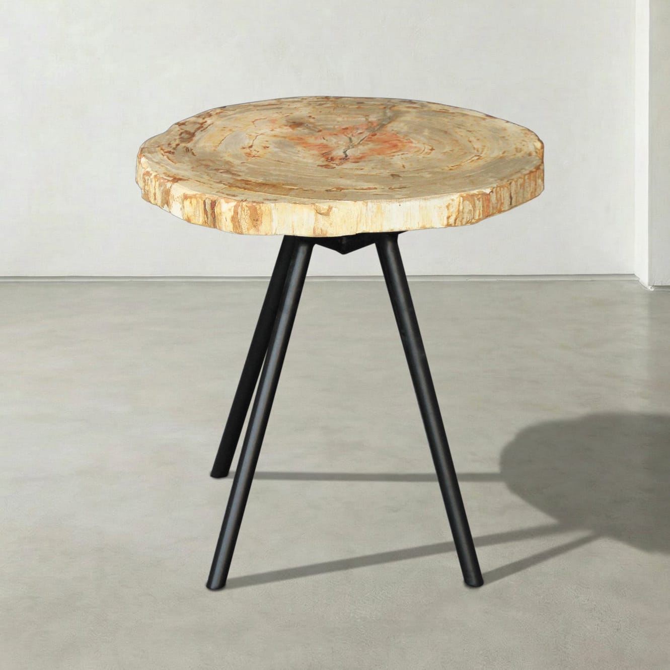 Kalifano Petrified Wood Natural Petrified Wood Round Slab Coffee Table from Indonesia - 17" / 22 lbs PWT1300.003