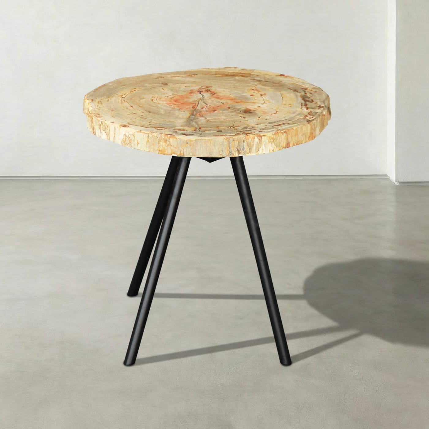 Kalifano Petrified Wood Natural Petrified Wood Round Slab Coffee Table from Indonesia - 17" / 22 lbs PWT1300.003