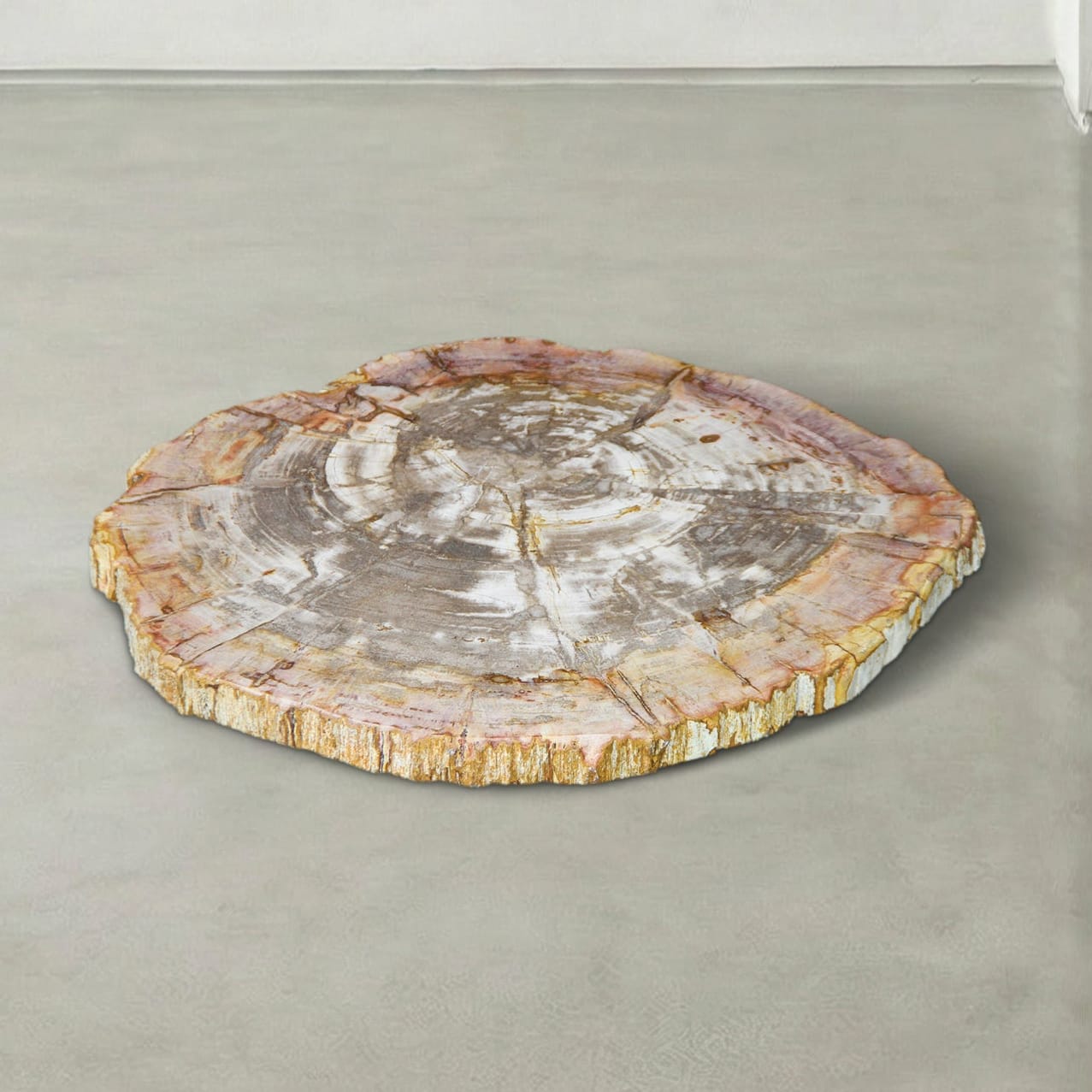 Kalifano Petrified Wood Natural Petrified Wood Round Slab Coffee Table from Indonesia - 22" / 33 lbs PWT1700.003