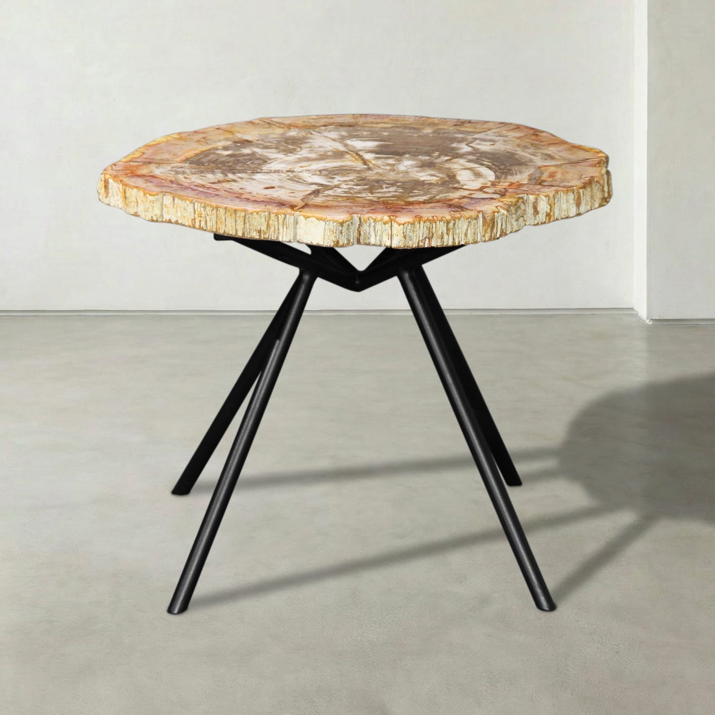 Kalifano Petrified Wood Natural Petrified Wood Round Slab Coffee Table from Indonesia - 22" / 33 lbs PWT1700.003