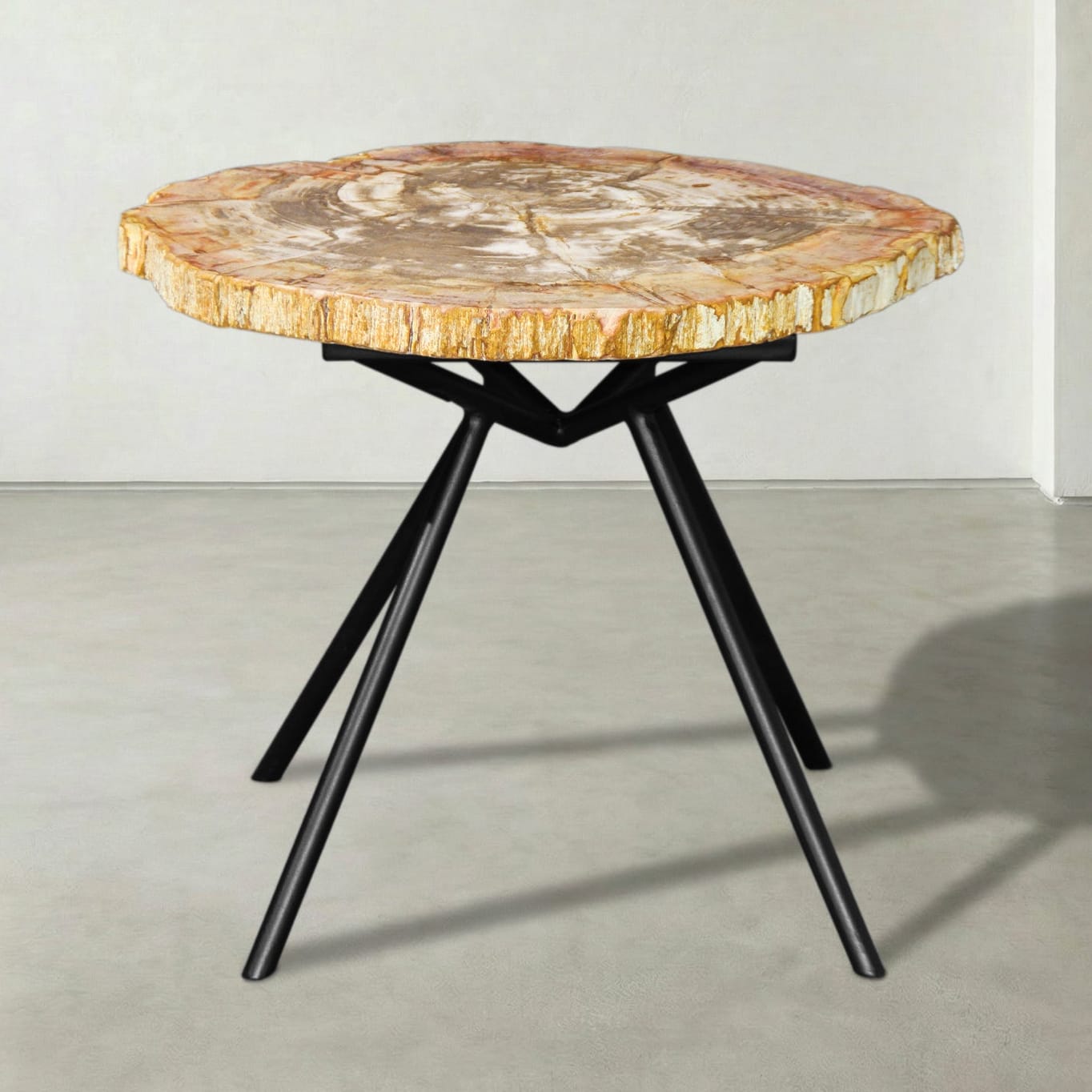 Kalifano Petrified Wood Natural Petrified Wood Round Slab Coffee Table from Indonesia - 22" / 33 lbs PWT1700.003