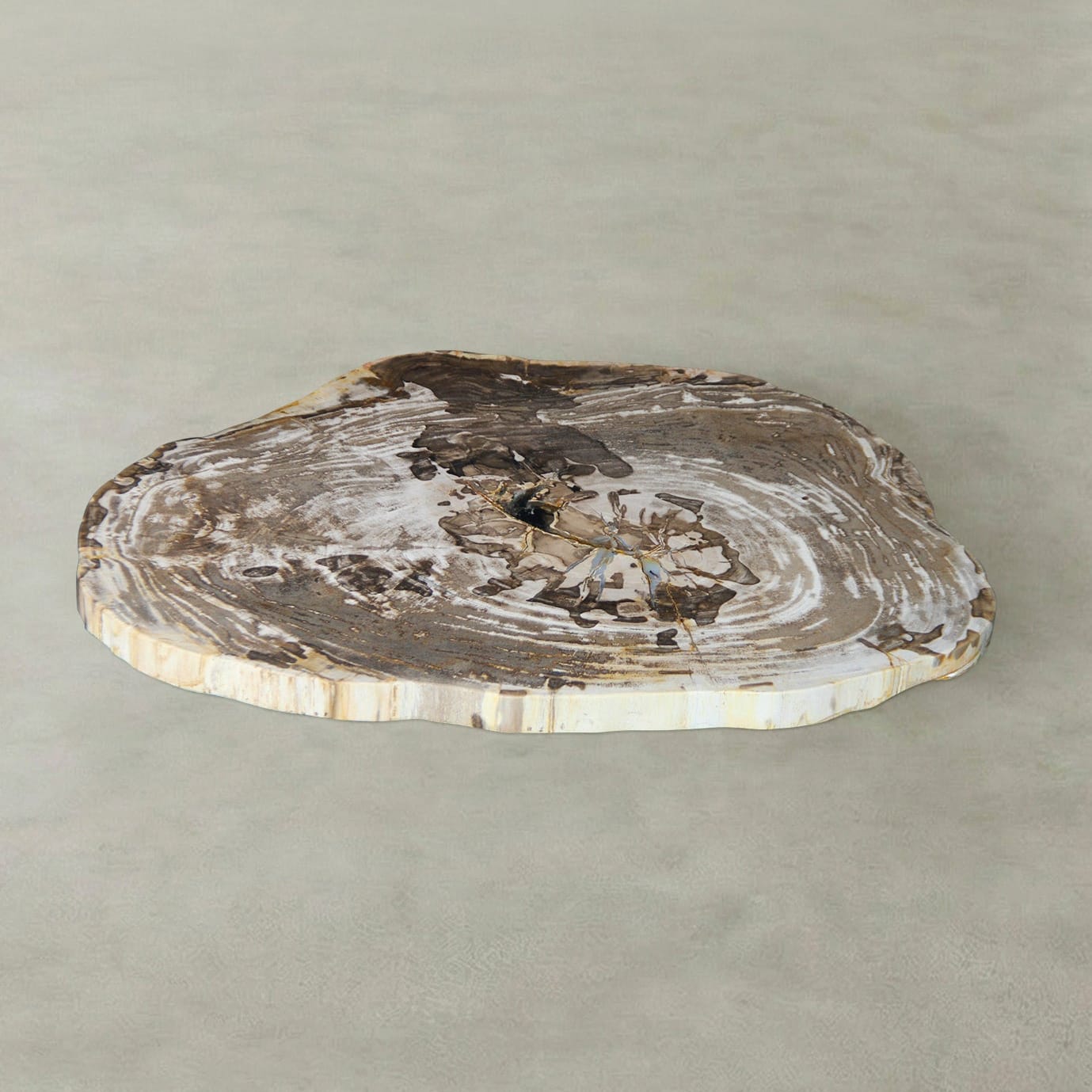 Kalifano Petrified Wood Natural Petrified Wood Round Slab Coffee Table from Indonesia - 29" / 60 lbs PWT2700.001
