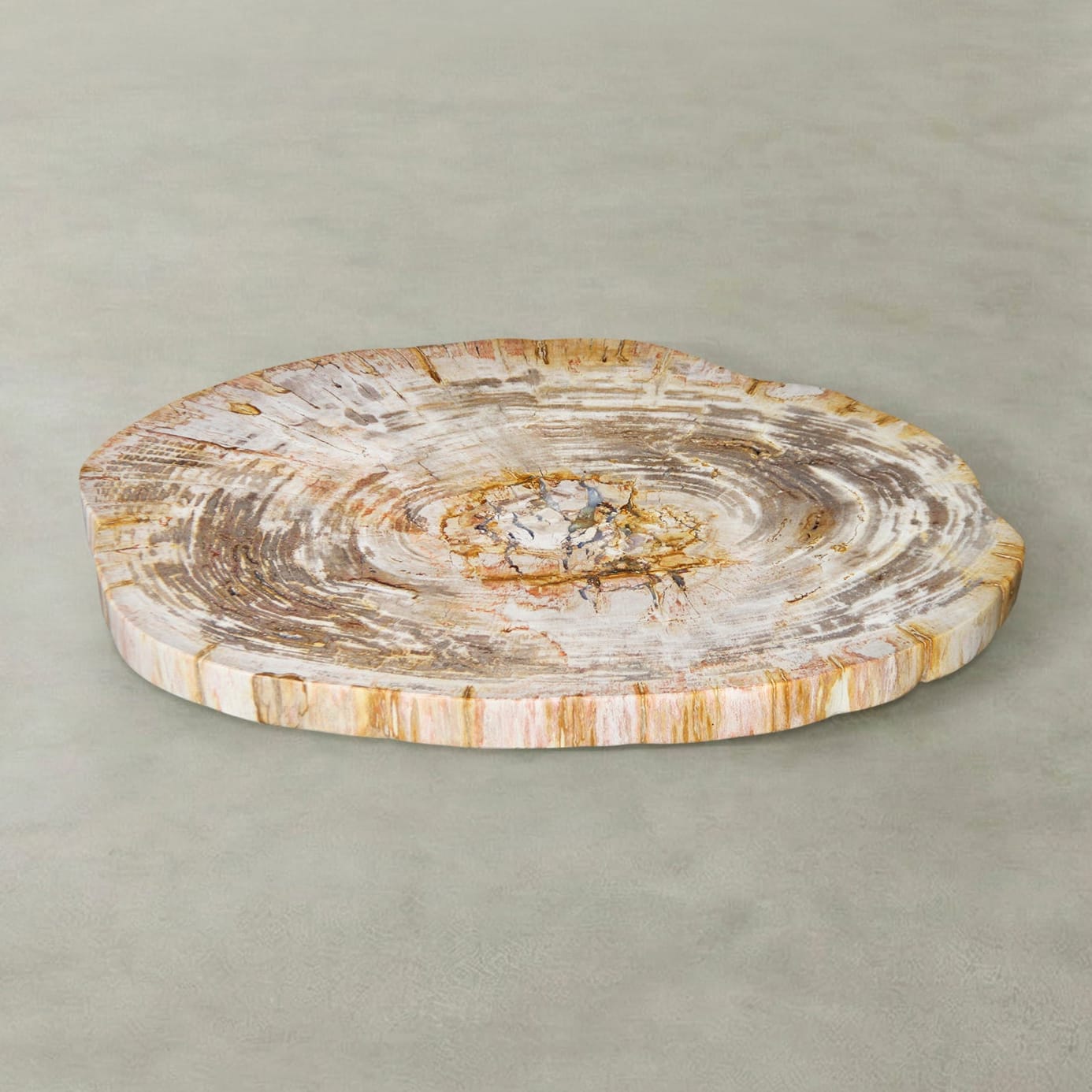 Kalifano Petrified Wood Natural Petrified Wood Round Slab Coffee Table from Indonesia - 30" / 91 lbs PWT3800.004