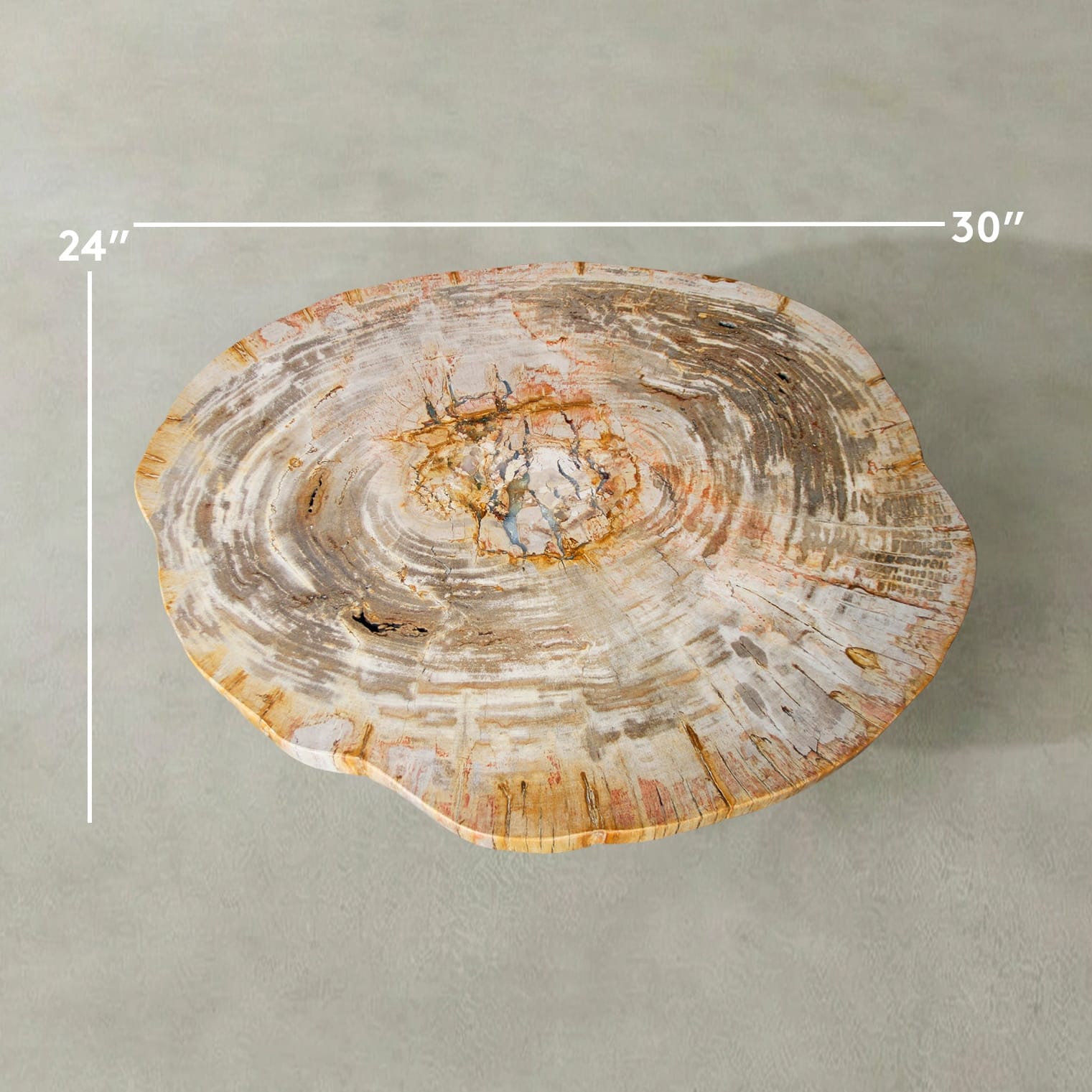 Kalifano Petrified Wood Natural Petrified Wood Round Slab Coffee Table from Indonesia - 30" / 91 lbs PWT3800.004
