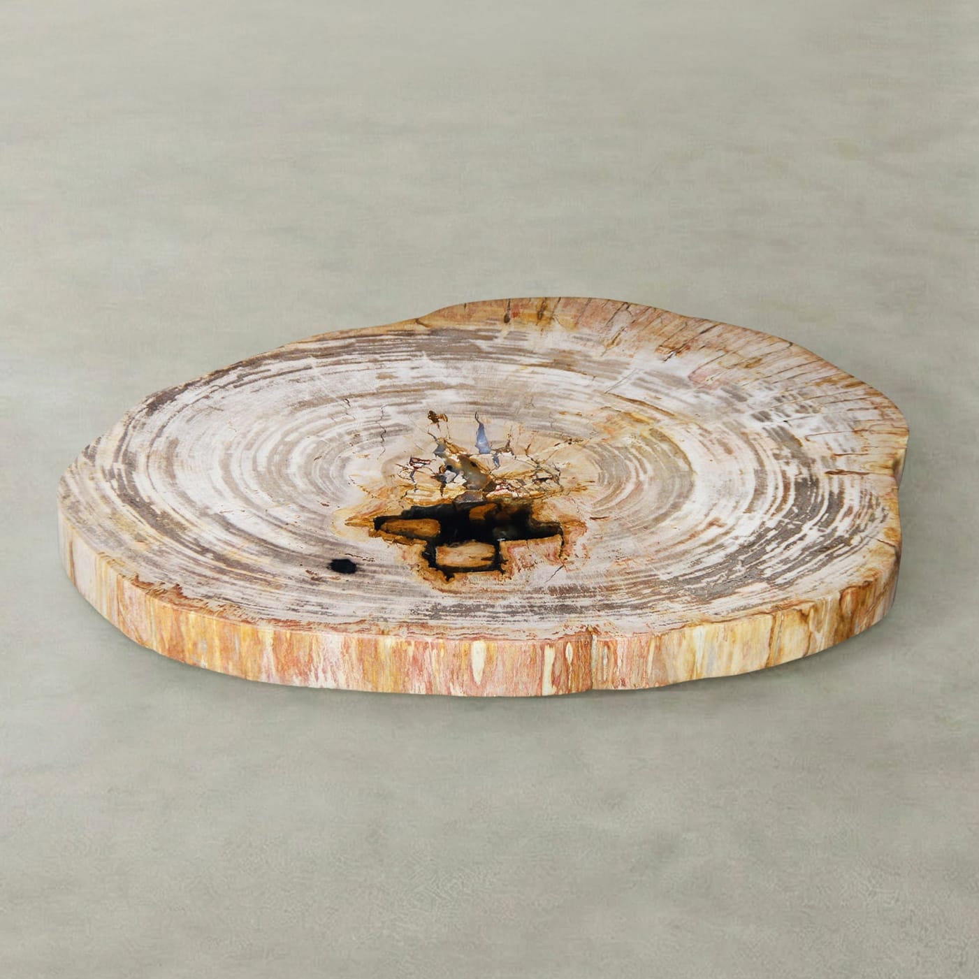 Kalifano Petrified Wood Natural Petrified Wood Round Slab Coffee Table from Indonesia - 31" / 111 lbs PWT4500.014