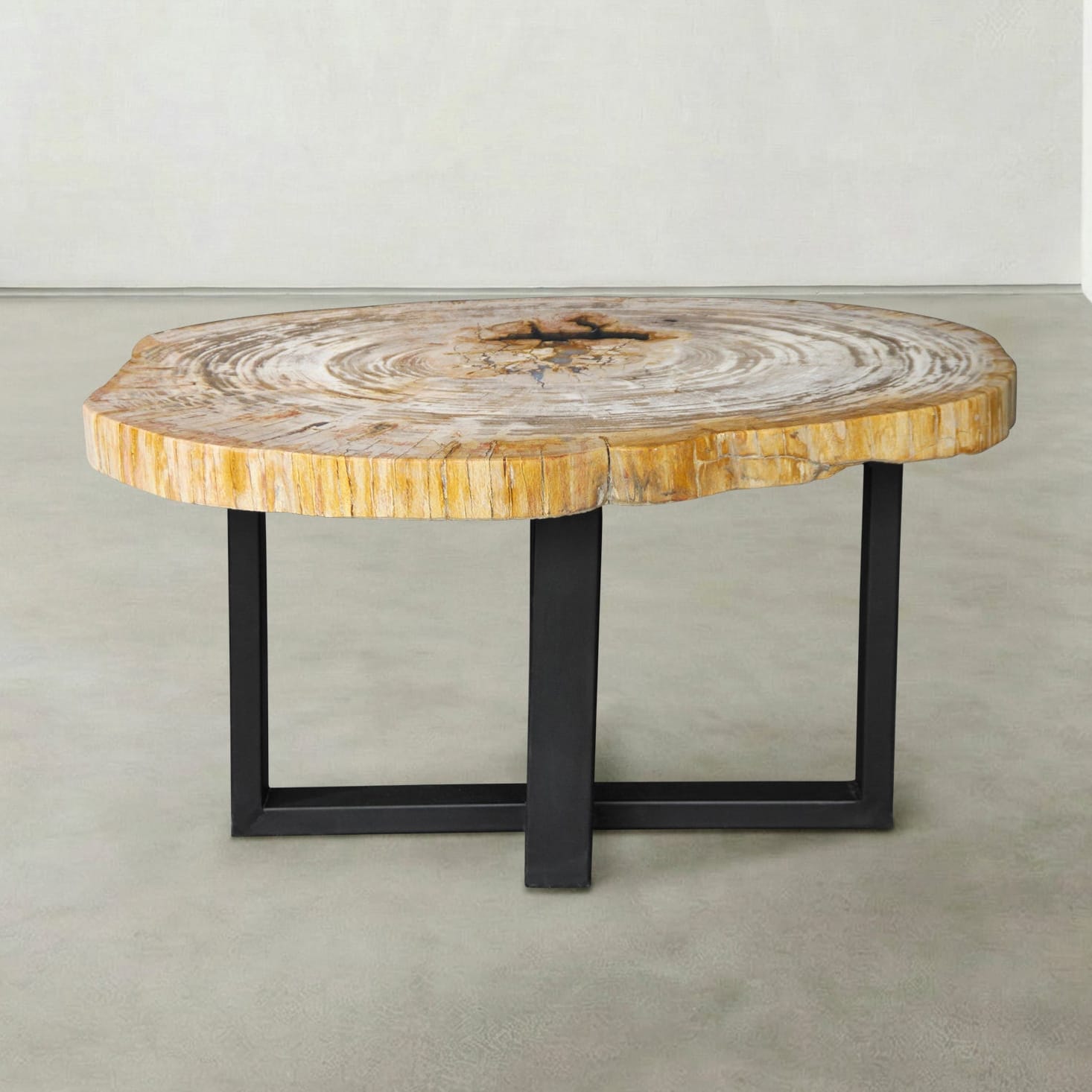 Kalifano Petrified Wood Natural Petrified Wood Round Slab Coffee Table from Indonesia - 32" / 111 lbs PWT4500.013