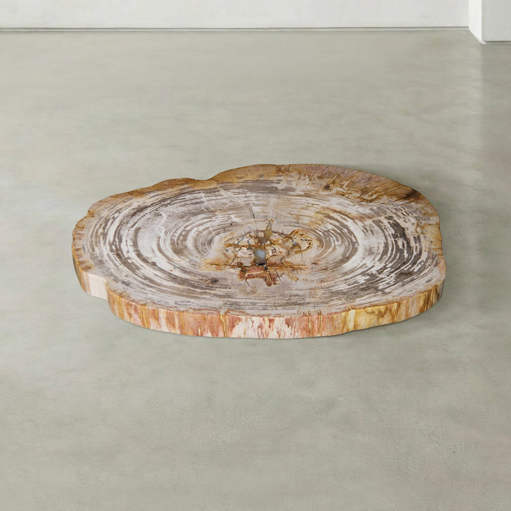 Kalifano Petrified Wood Natural Petrified Wood Round Slab Coffee Table from Indonesia - 32" / 113 lbs PWT4600.006