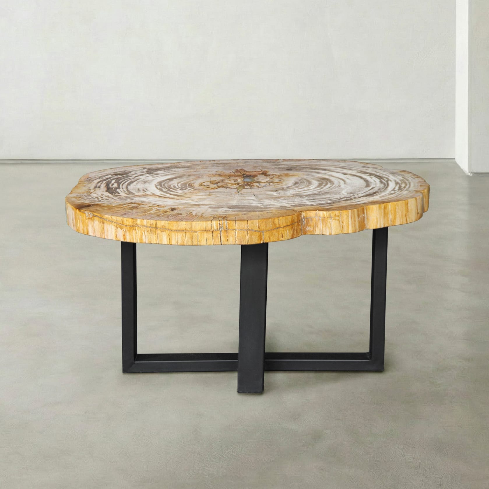 Kalifano Petrified Wood Natural Petrified Wood Round Slab Coffee Table from Indonesia - 32" / 113 lbs PWT4600.006