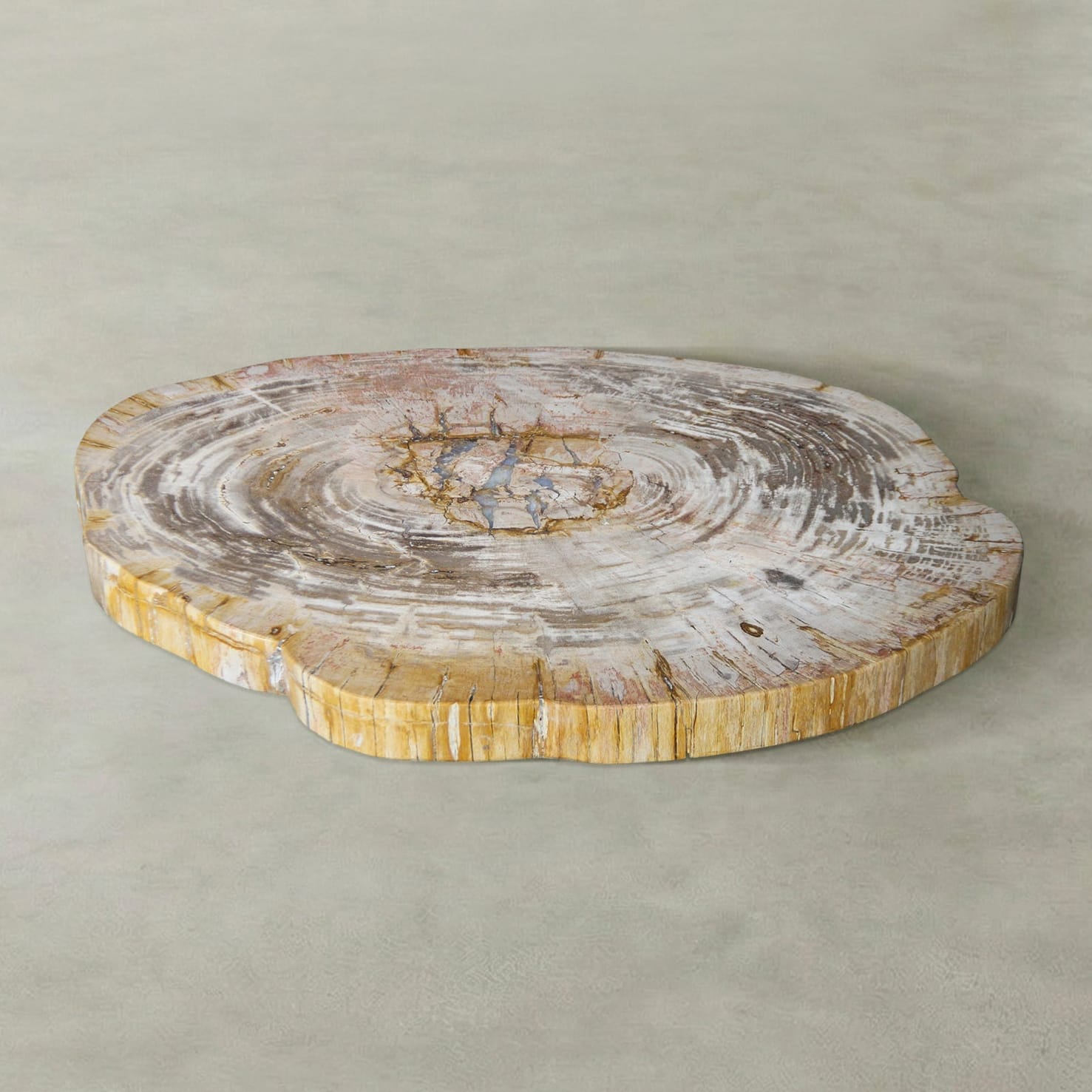Kalifano Petrified Wood Natural Petrified Wood Round Slab Coffee Table from Indonesia - 32" / 113 lbs PWT4600.007