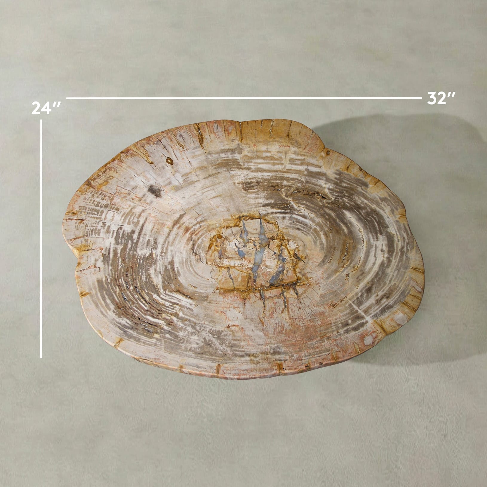 Kalifano Petrified Wood Natural Petrified Wood Round Slab Coffee Table from Indonesia - 32" / 113 lbs PWT4600.007