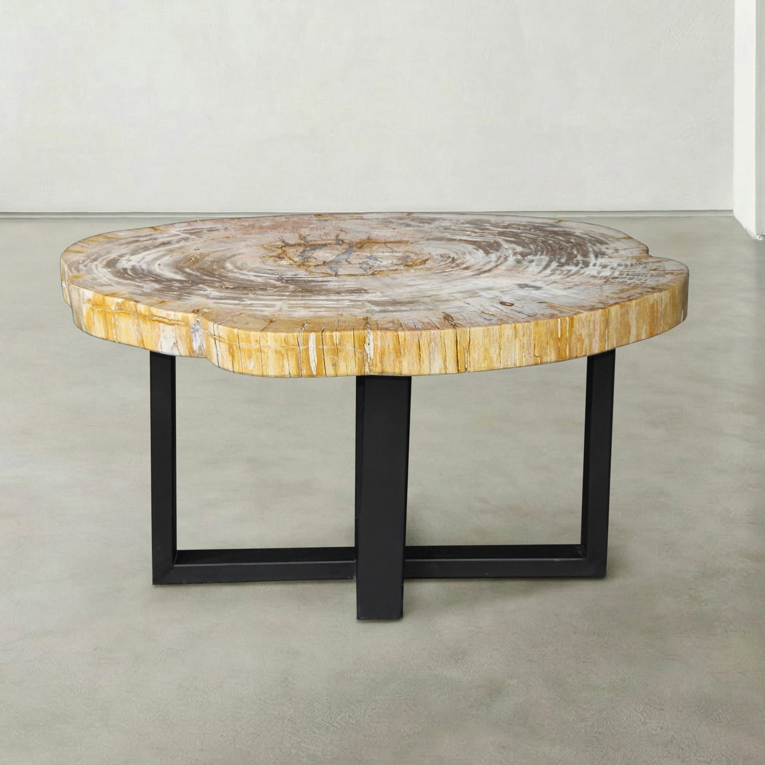 Kalifano Petrified Wood Natural Petrified Wood Round Slab Coffee Table from Indonesia - 32" / 113 lbs PWT4600.007