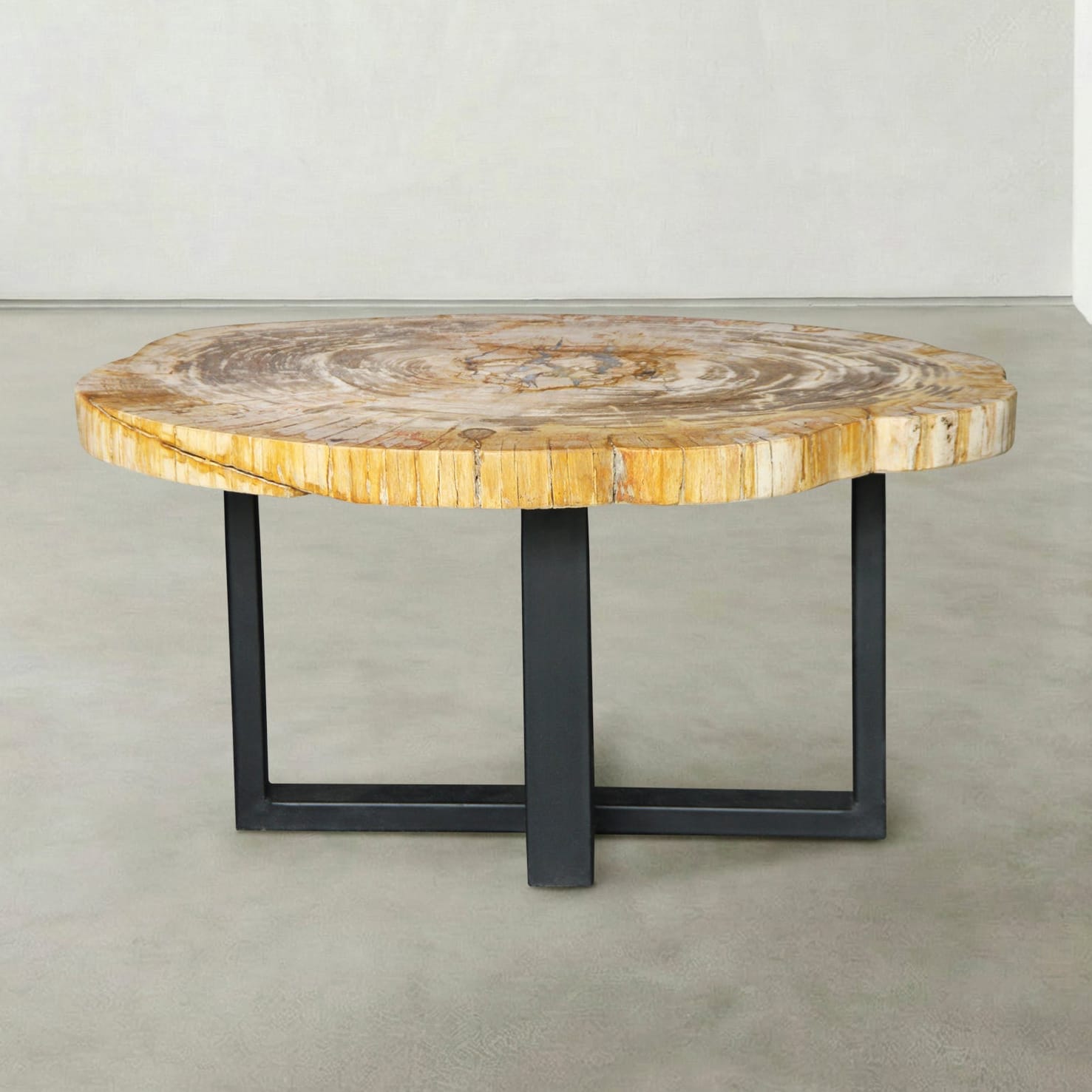 Kalifano Petrified Wood Natural Petrified Wood Round Slab Coffee Table from Indonesia - 33" / 106 lbs PWT4400.006