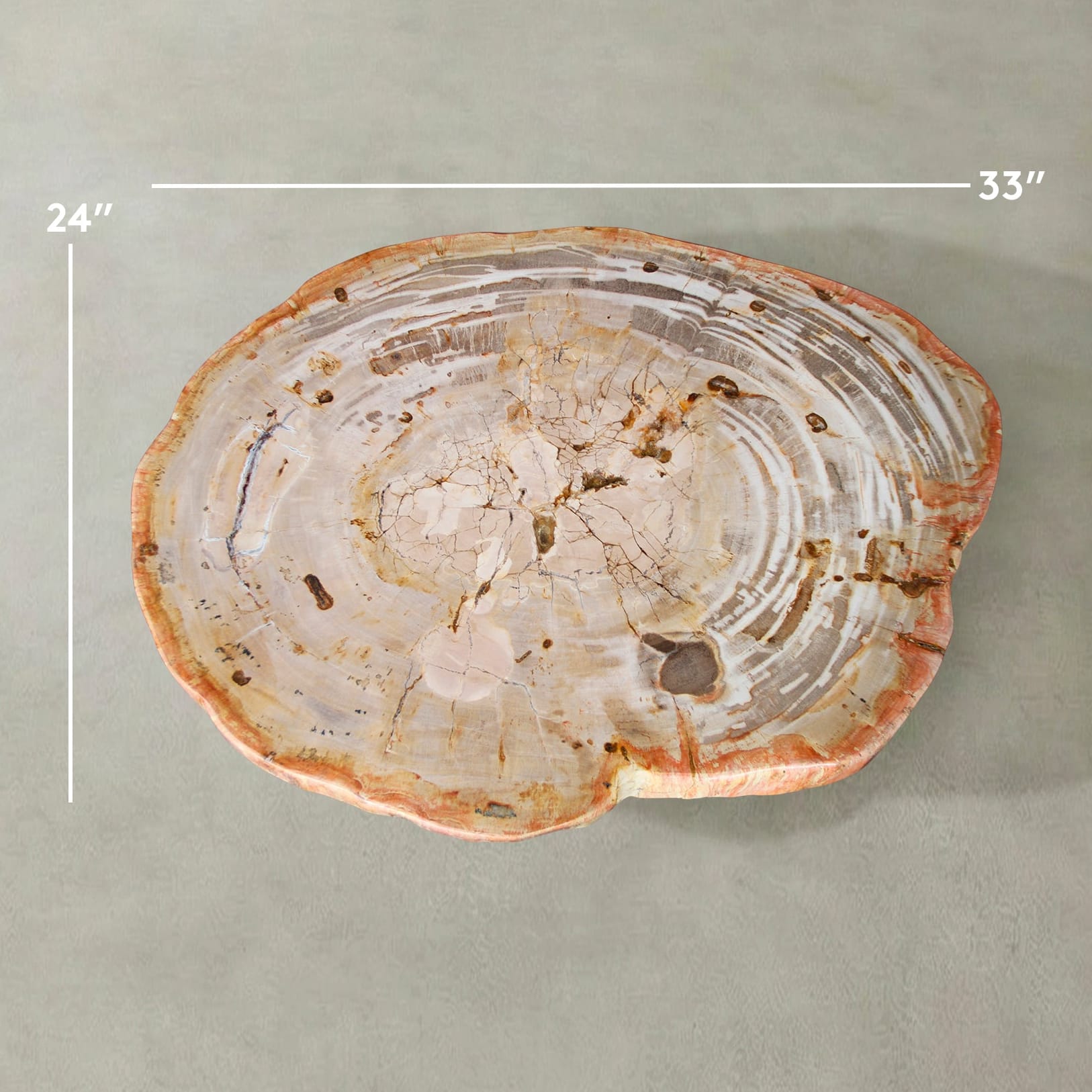 Kalifano Petrified Wood Natural Petrified Wood Round Slab Coffee Table from Indonesia - 33" / 108 lbs PWT4500.006