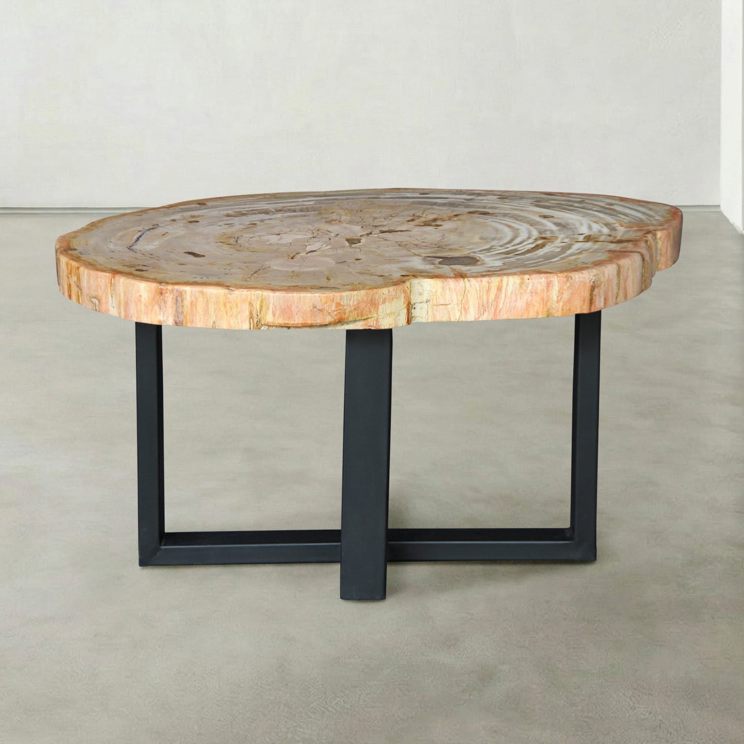 Kalifano Petrified Wood Natural Petrified Wood Round Slab Coffee Table from Indonesia - 33" / 108 lbs PWT4500.006