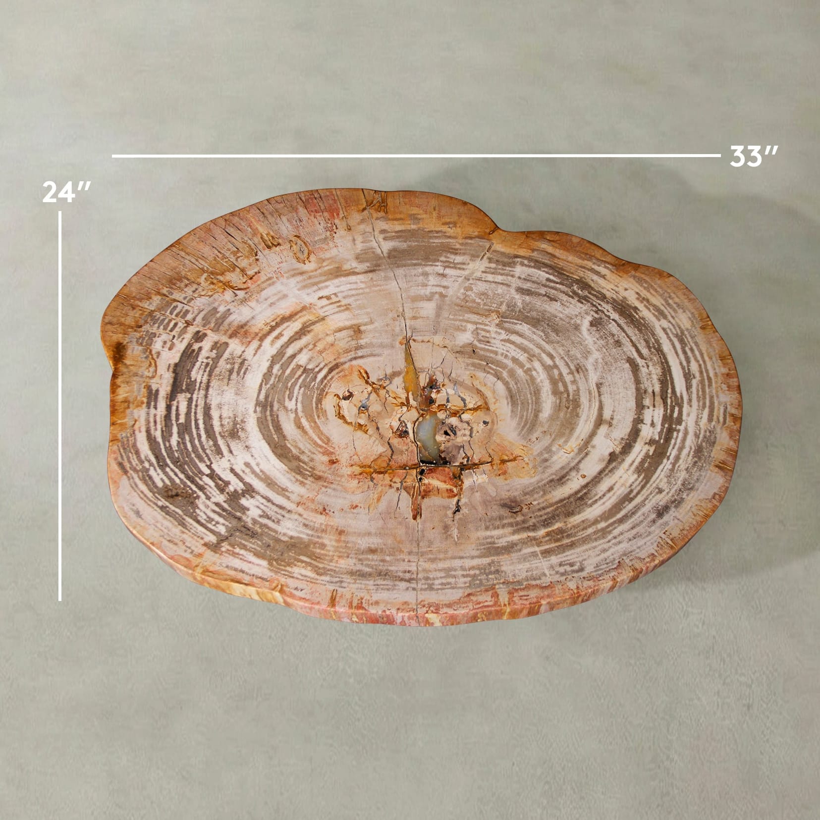 Kalifano Petrified Wood Natural Petrified Wood Round Slab Coffee Table from Indonesia - 33" / 108 lbs PWT4500.011