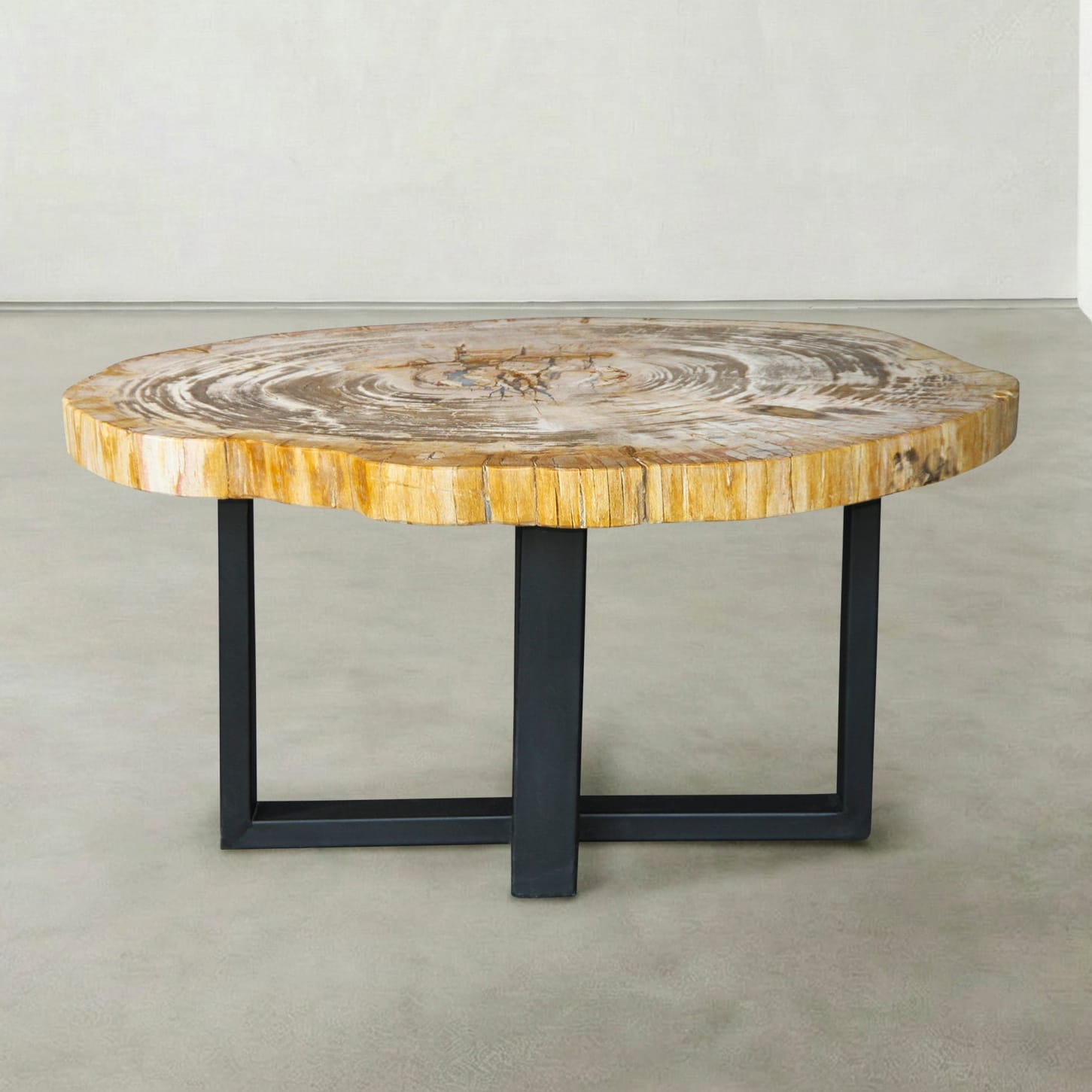 Kalifano Petrified Wood Natural Petrified Wood Round Slab Coffee Table from Indonesia - 33" / 111 lbs PWT4500.012