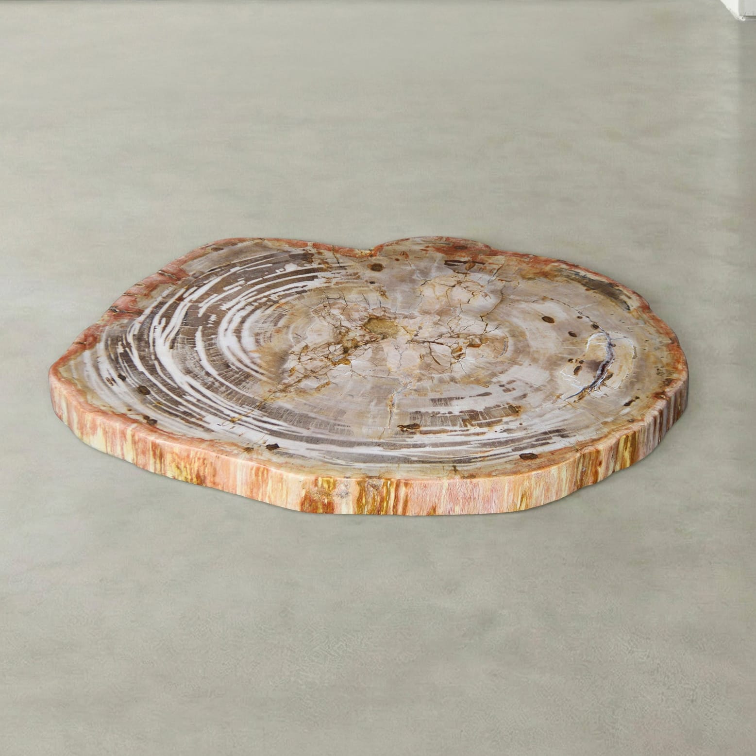 Kalifano Petrified Wood Natural Petrified Wood Round Slab Coffee Table from Indonesia - 33" / 115 lbs PWT4700.001