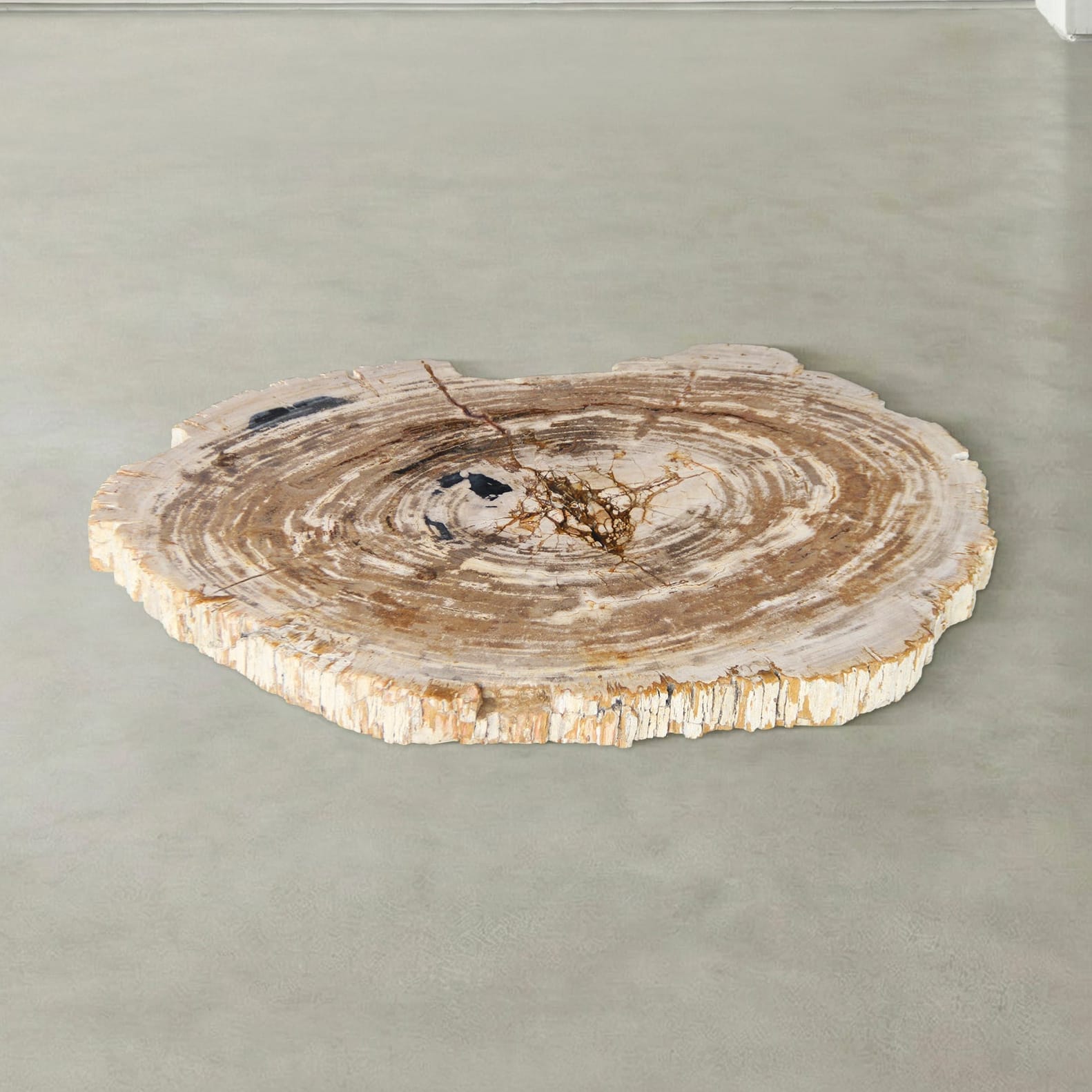 Kalifano Petrified Wood Natural Petrified Wood Round Slab Coffee Table from Indonesia - 33" / 119 lbs PWT4900.001