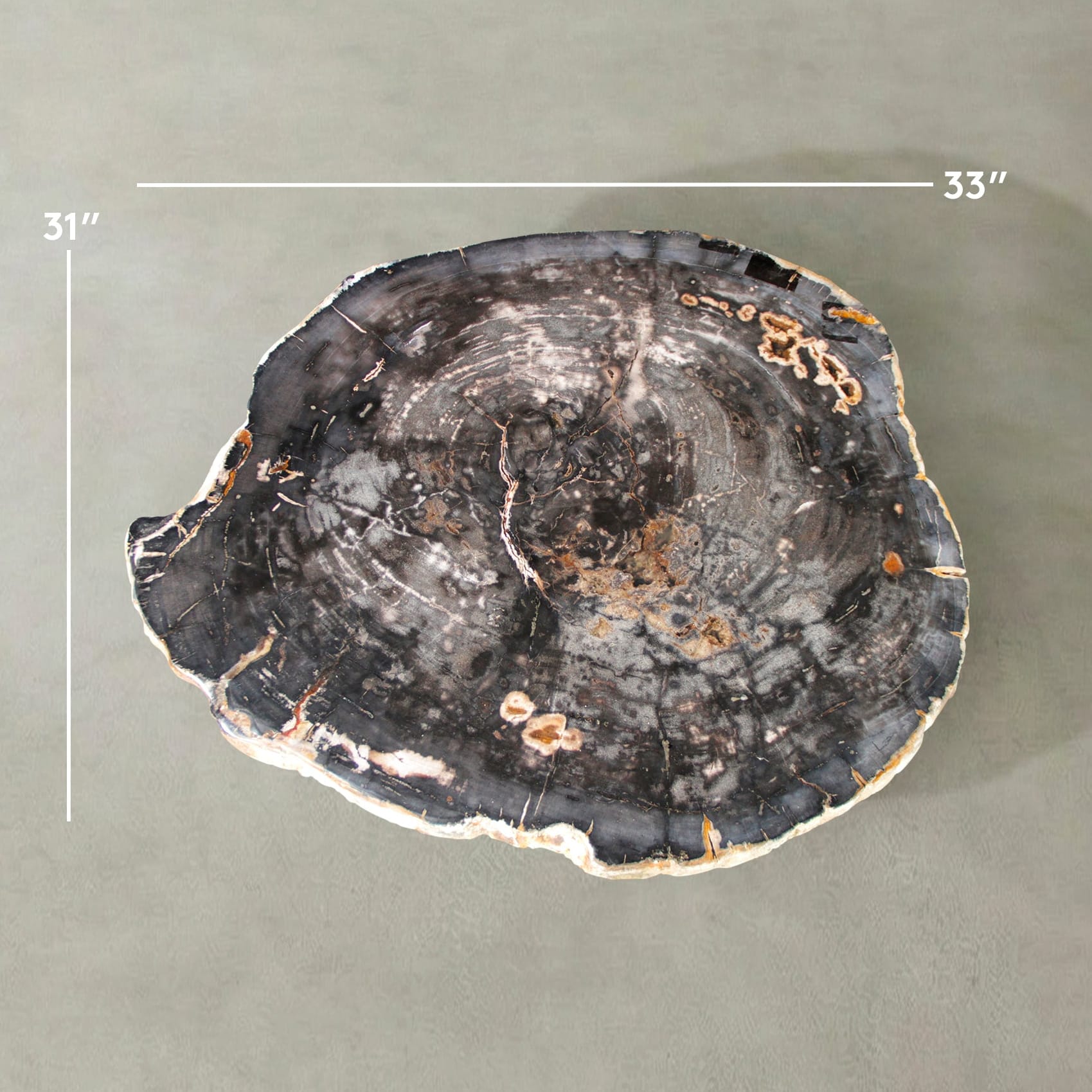 Kalifano Petrified Wood Natural Petrified Wood Round Slab Coffee Table from Indonesia - 33" / 157 lbs PWT6200.006