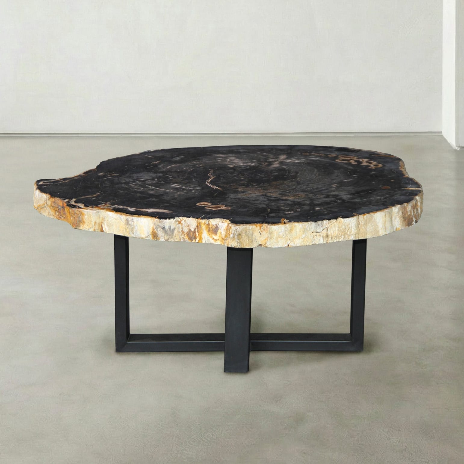 Kalifano Petrified Wood Natural Petrified Wood Round Slab Coffee Table from Indonesia - 33" / 157 lbs PWT6200.006