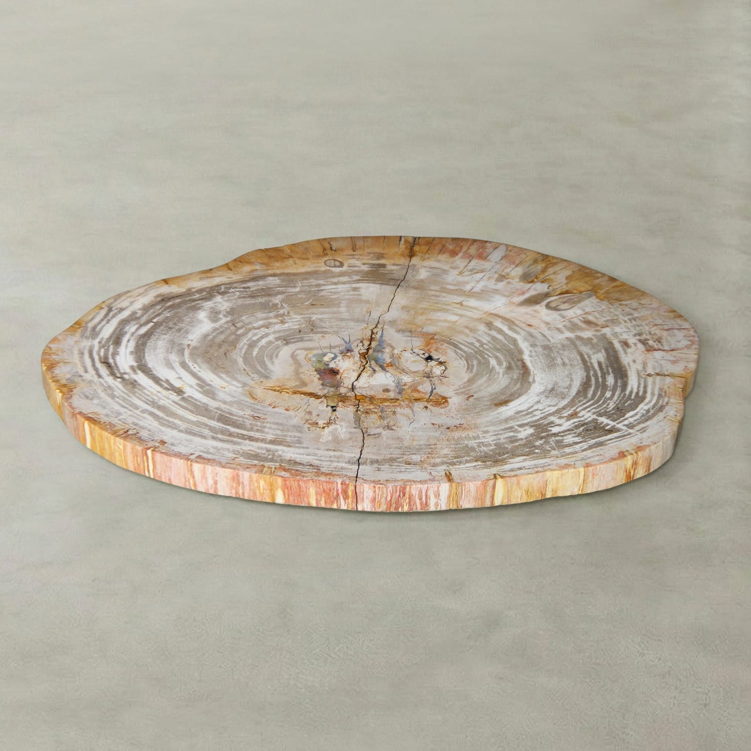 Kalifano Petrified Wood Natural Petrified Wood Round Slab Coffee Table from Indonesia - 33" / 77 lbs PWT3300.001