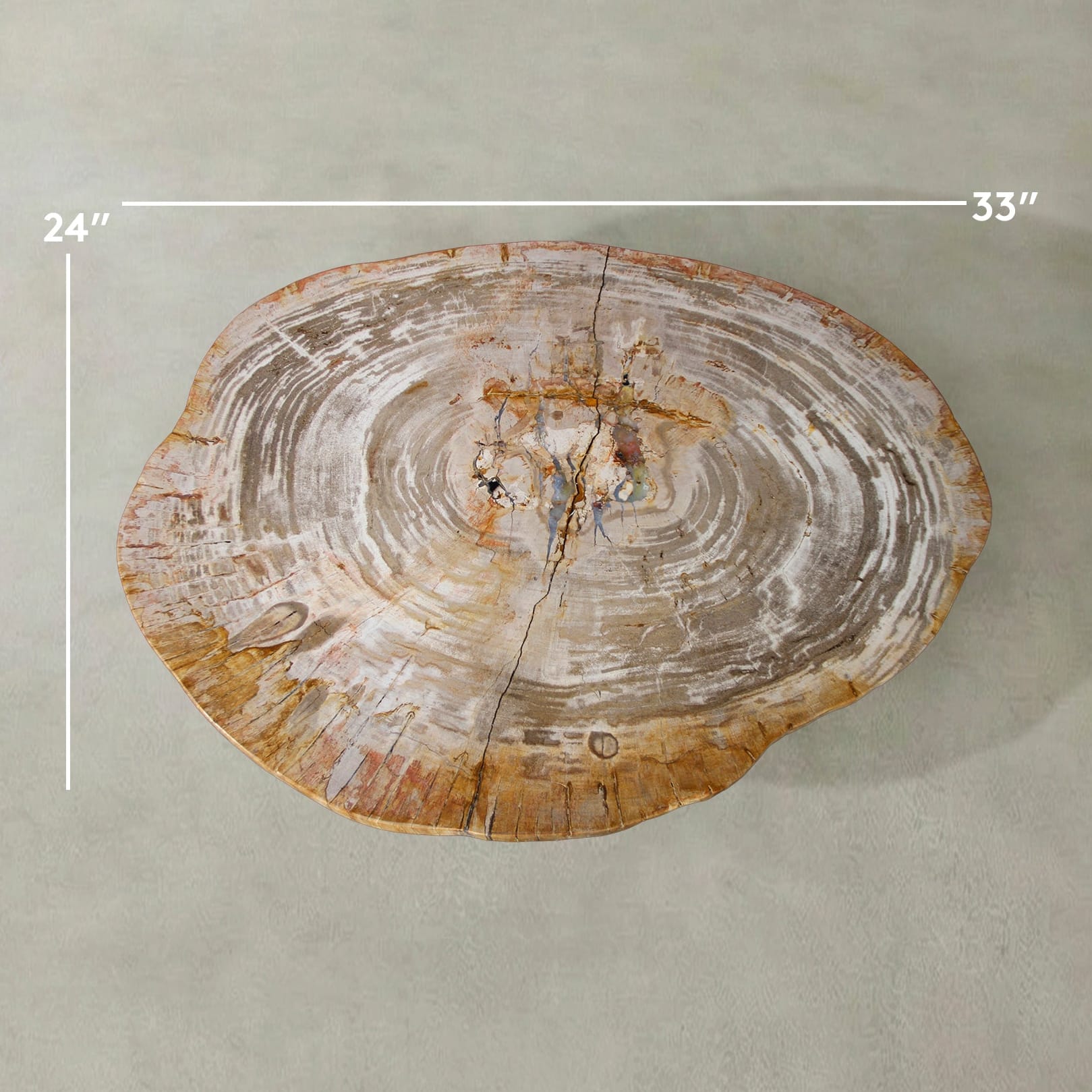 Kalifano Petrified Wood Natural Petrified Wood Round Slab Coffee Table from Indonesia - 33" / 77 lbs PWT3300.001