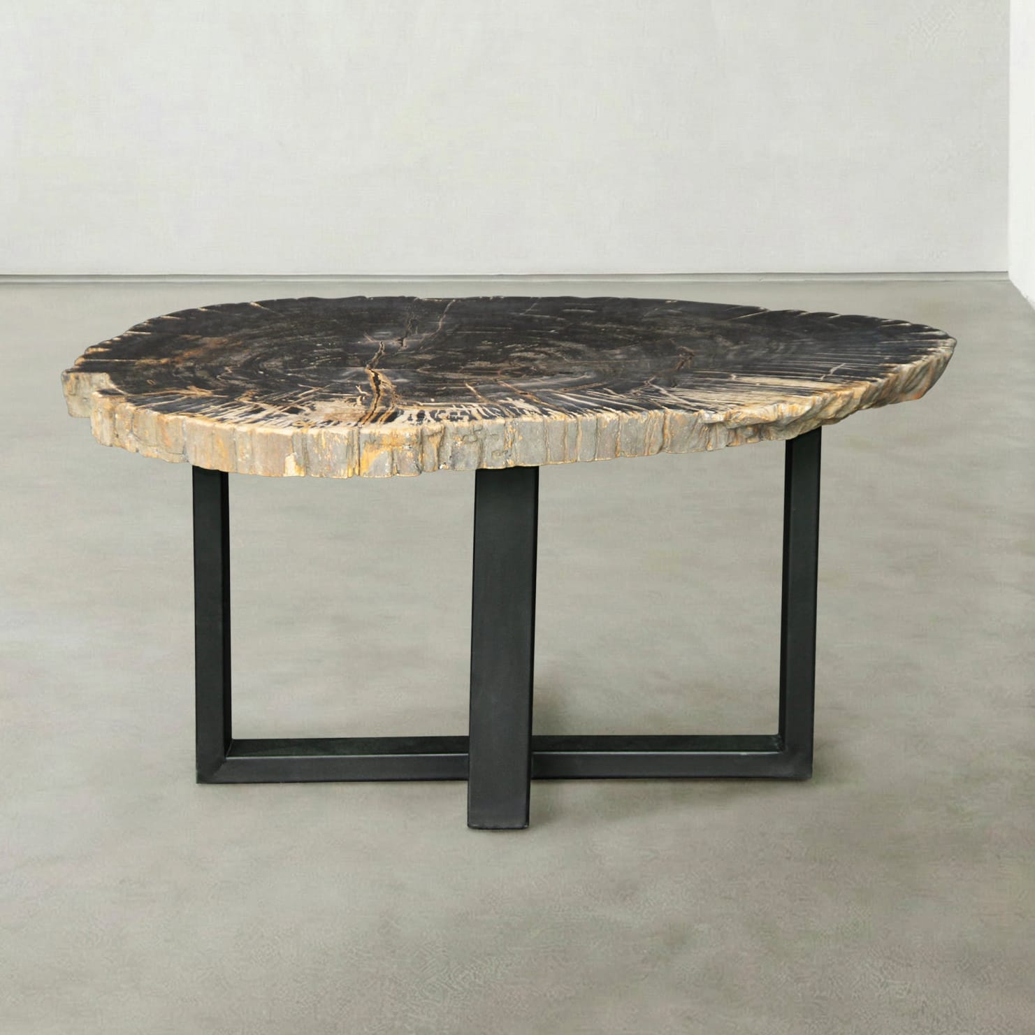 Kalifano Petrified Wood Natural Petrified Wood Round Slab Coffee Table from Indonesia - 33" / 93 lbs PWT3900.002