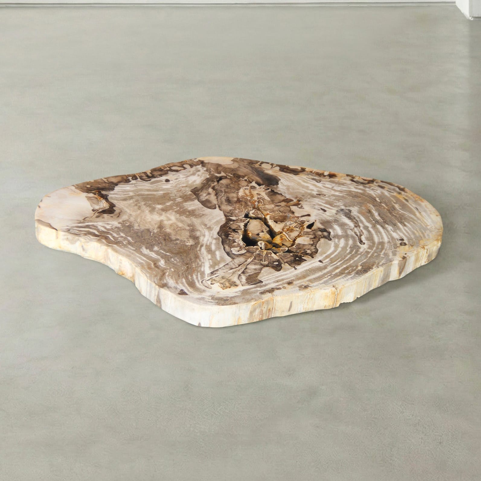 Kalifano Petrified Wood Natural Petrified Wood Round Slab Coffee Table from Indonesia - 35" / 106 lbs PWT4400.003