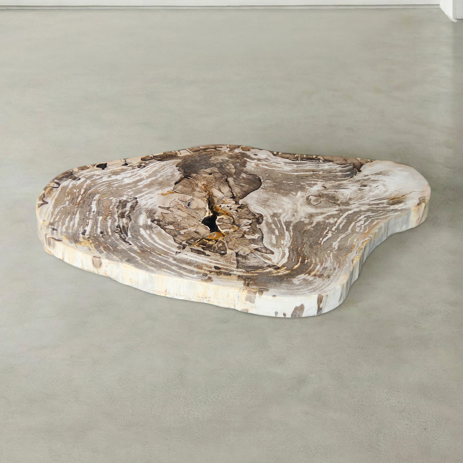 Kalifano Petrified Wood Natural Petrified Wood Round Slab Coffee Table from Indonesia - 35" / 111 lbs PWT4500.004