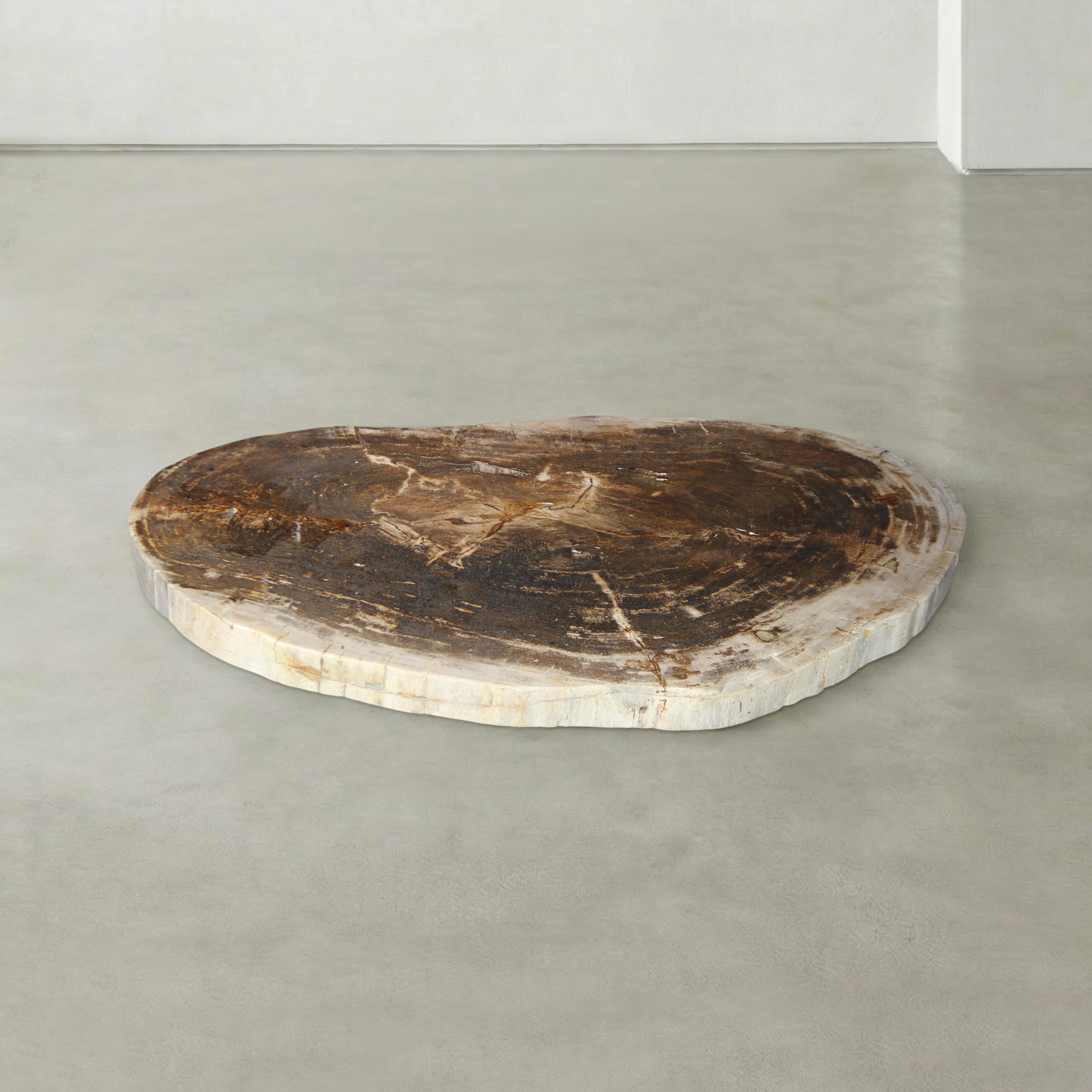 Kalifano Petrified Wood Natural Petrified Wood Round Slab Coffee Table from Indonesia - 38" / 133 lbs PWT5300.004