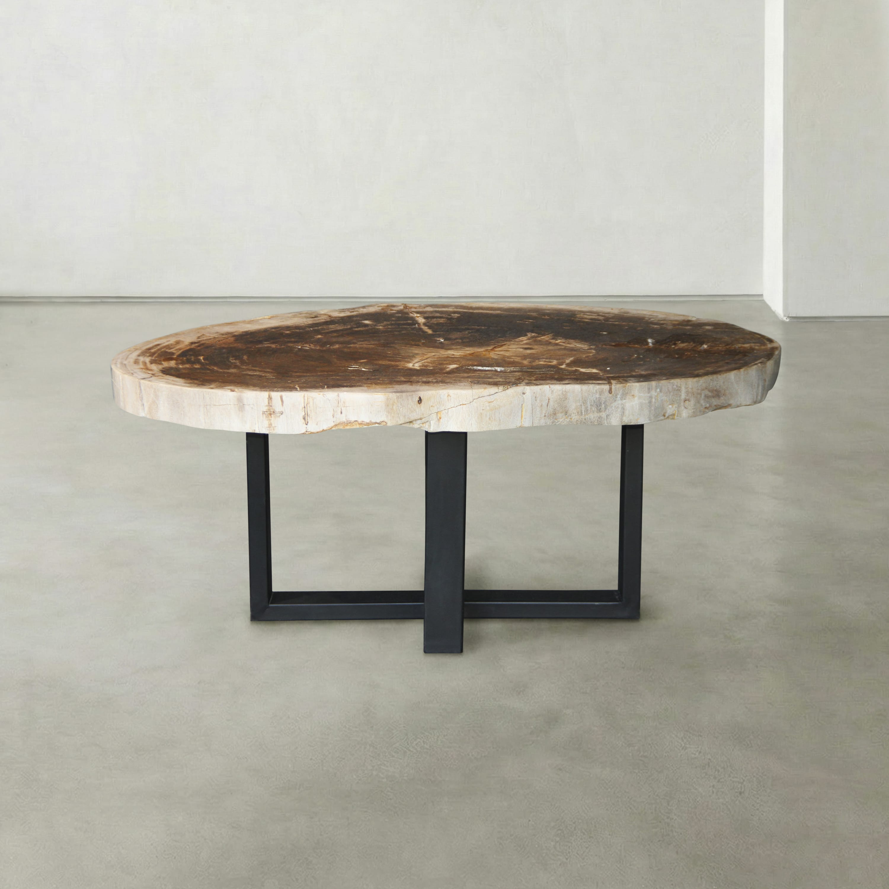 Kalifano Petrified Wood Natural Petrified Wood Round Slab Coffee Table from Indonesia - 38" / 133 lbs PWT5300.004