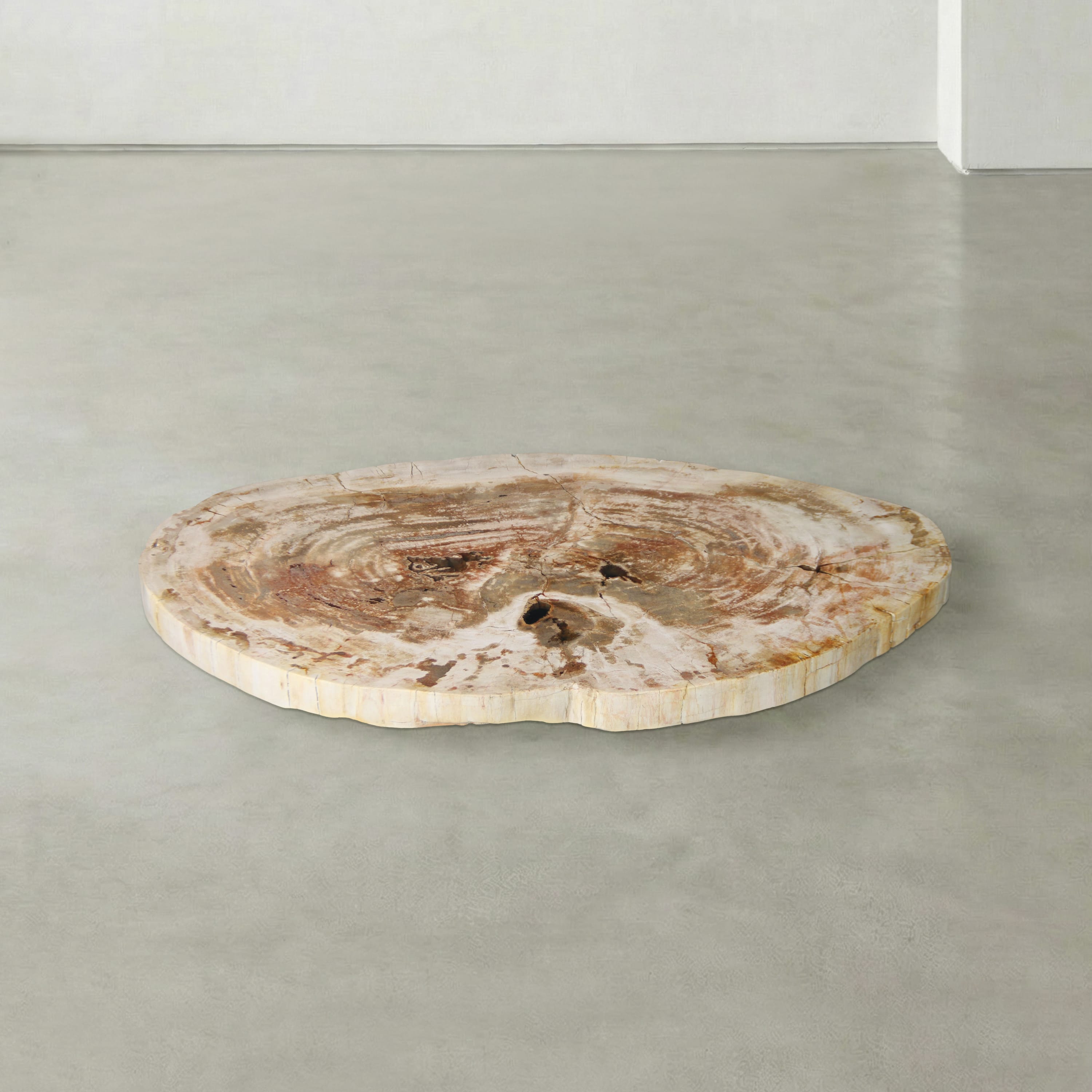 Kalifano Petrified Wood Natural Petrified Wood Round Slab Coffee Table from Indonesia - 39" / 102 lbs PWT4200.003