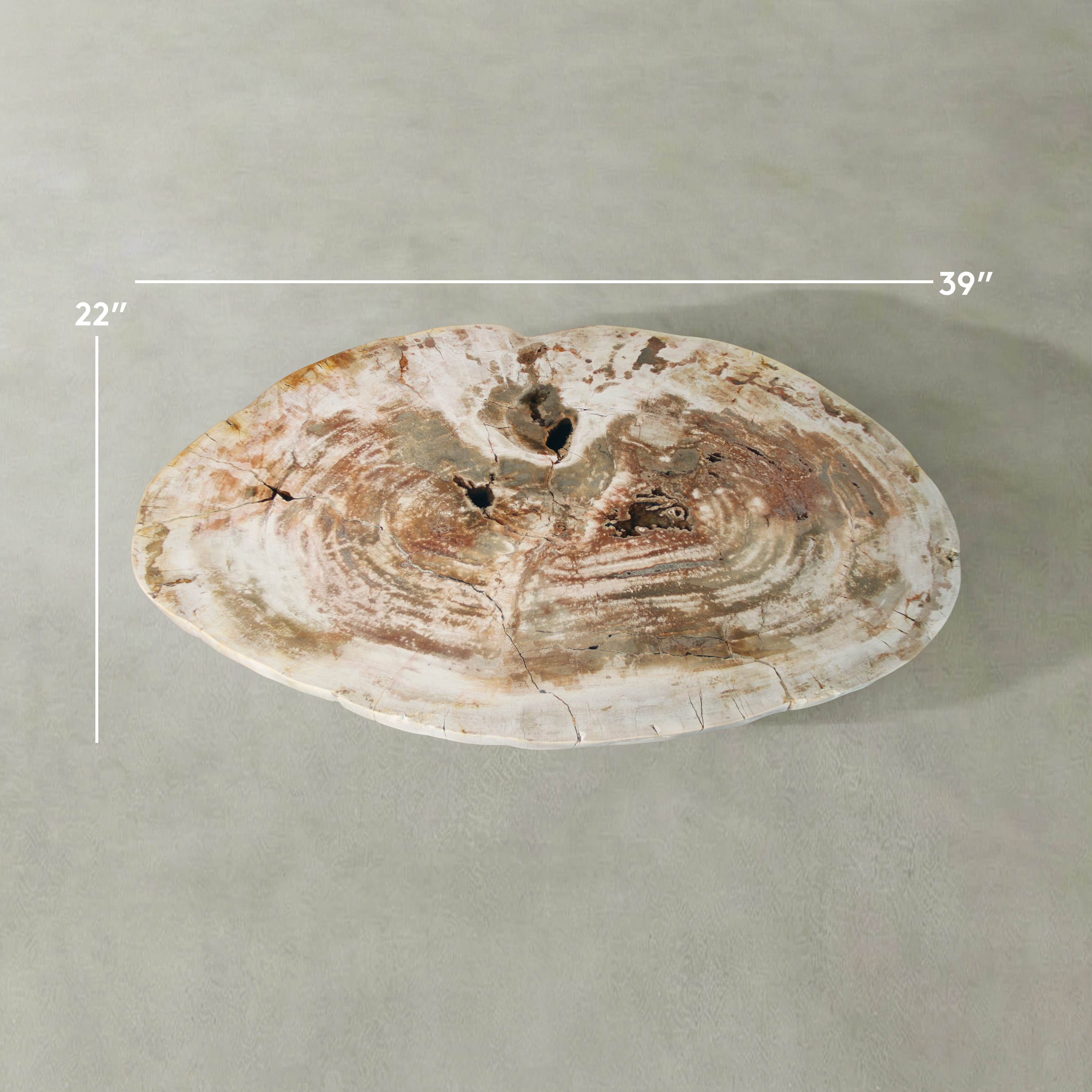 Kalifano Petrified Wood Natural Petrified Wood Round Slab Coffee Table from Indonesia - 39" / 102 lbs PWT4200.003