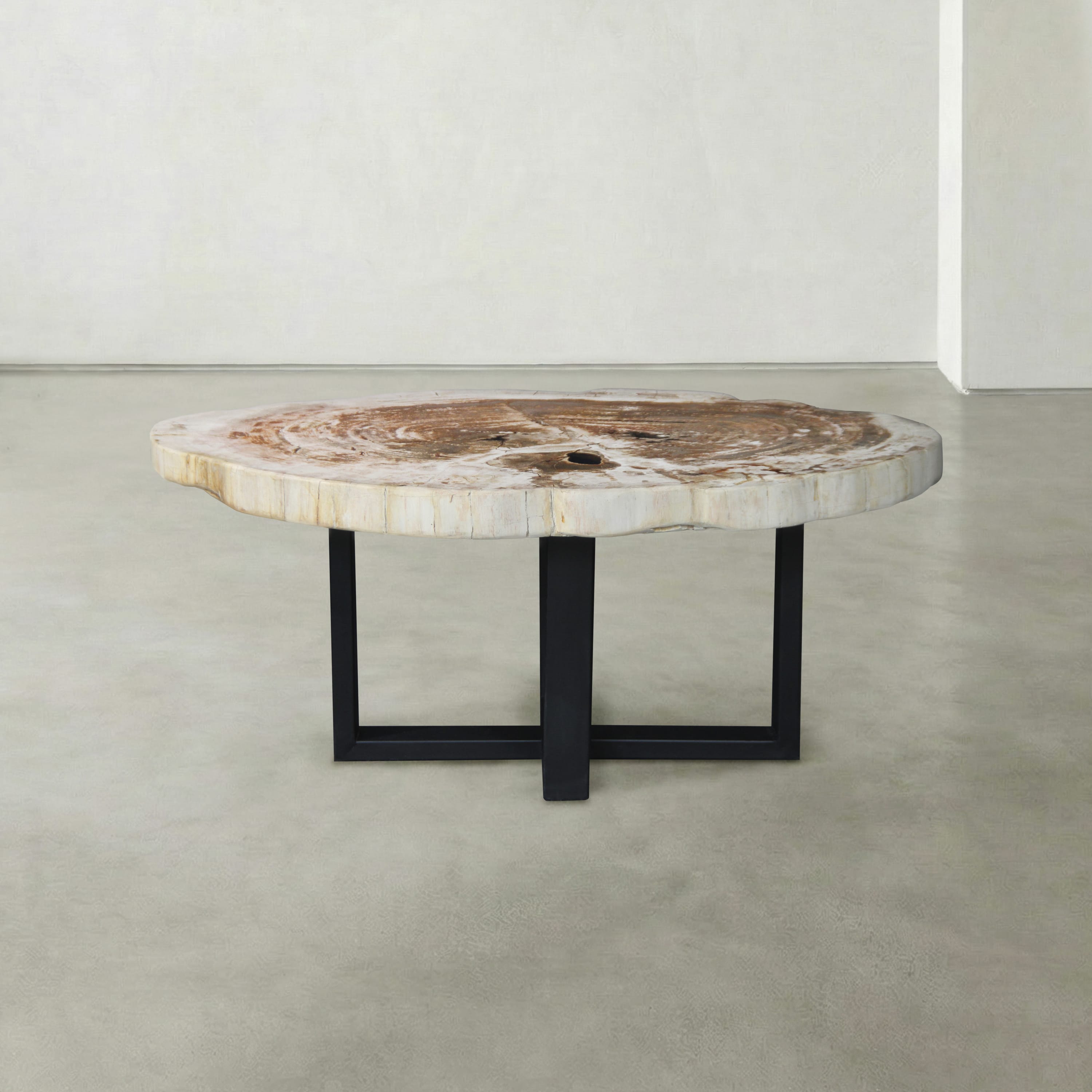 Kalifano Petrified Wood Natural Petrified Wood Round Slab Coffee Table from Indonesia - 39" / 113 lbs PWT4600.005