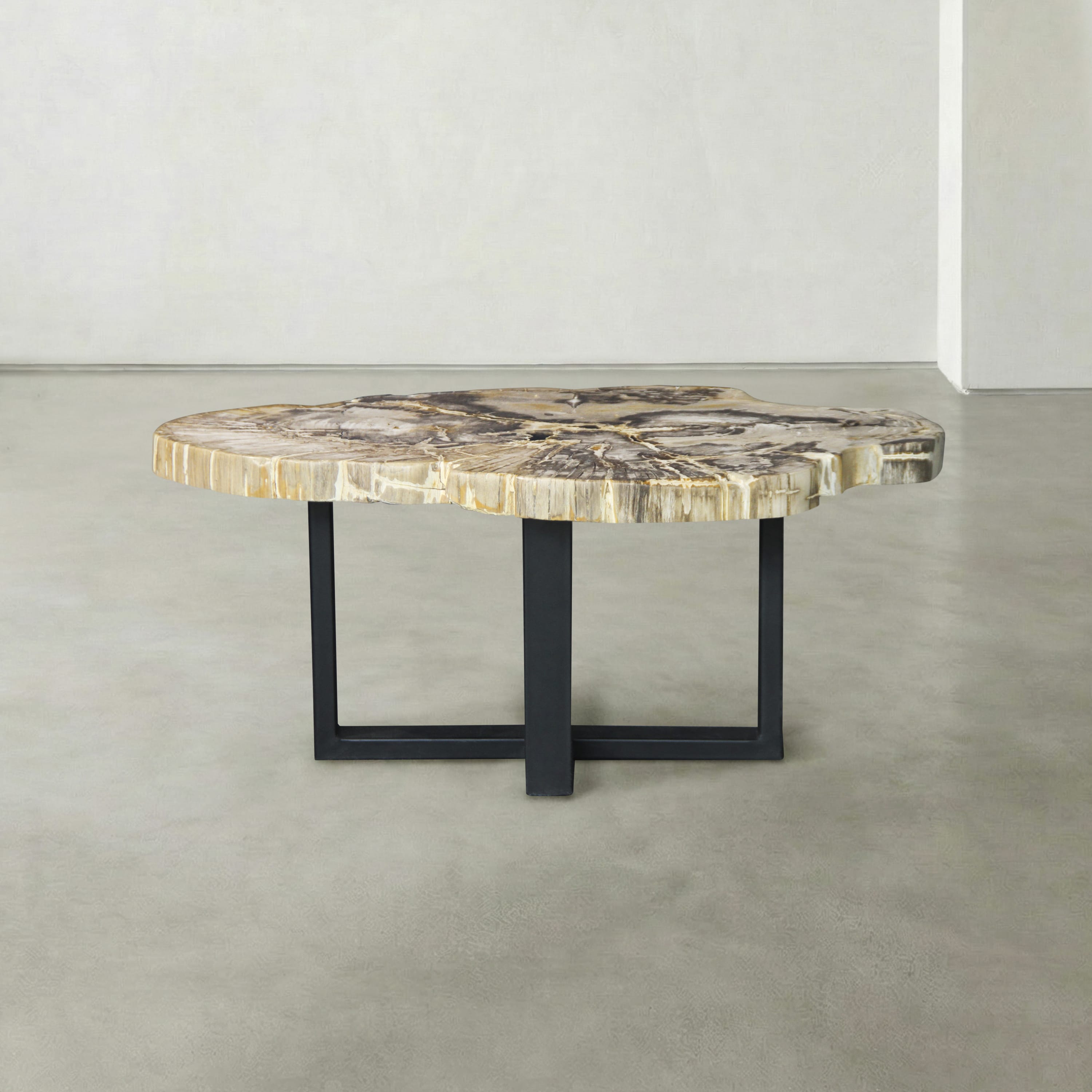 Kalifano Petrified Wood Natural Petrified Wood Round Slab Coffee Table from Indonesia - 39" / 119 lbs PWT4900.003