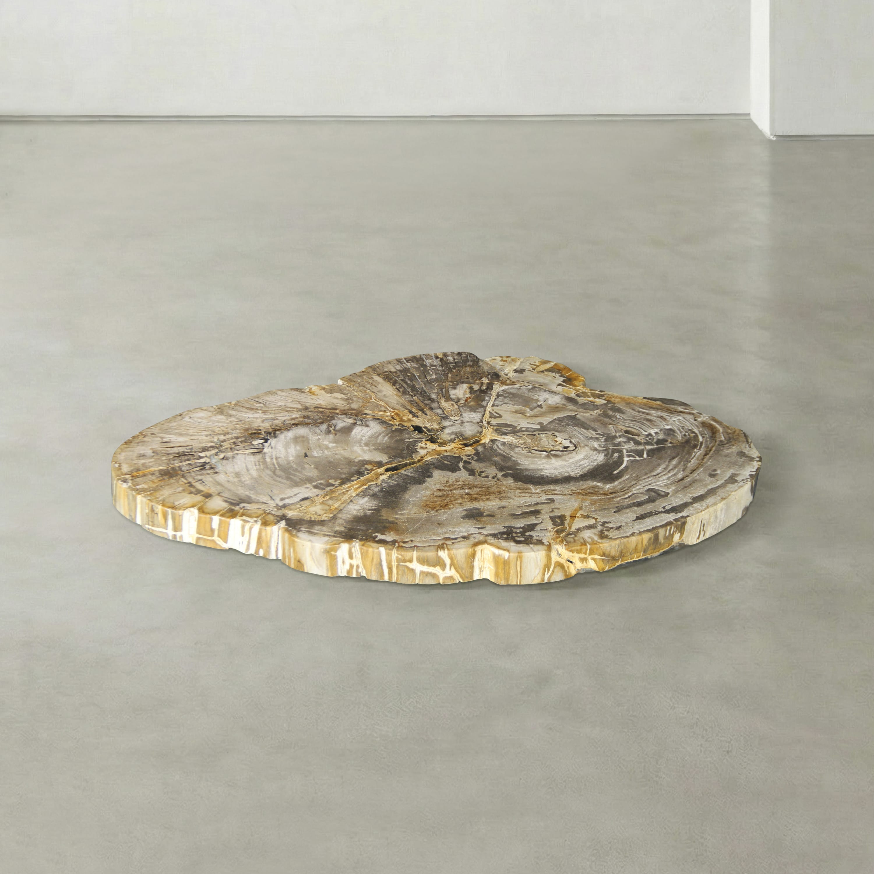 Kalifano Petrified Wood Natural Petrified Wood Round Slab Coffee Table from Indonesia - 39" / 130 lbs PWT5300.002