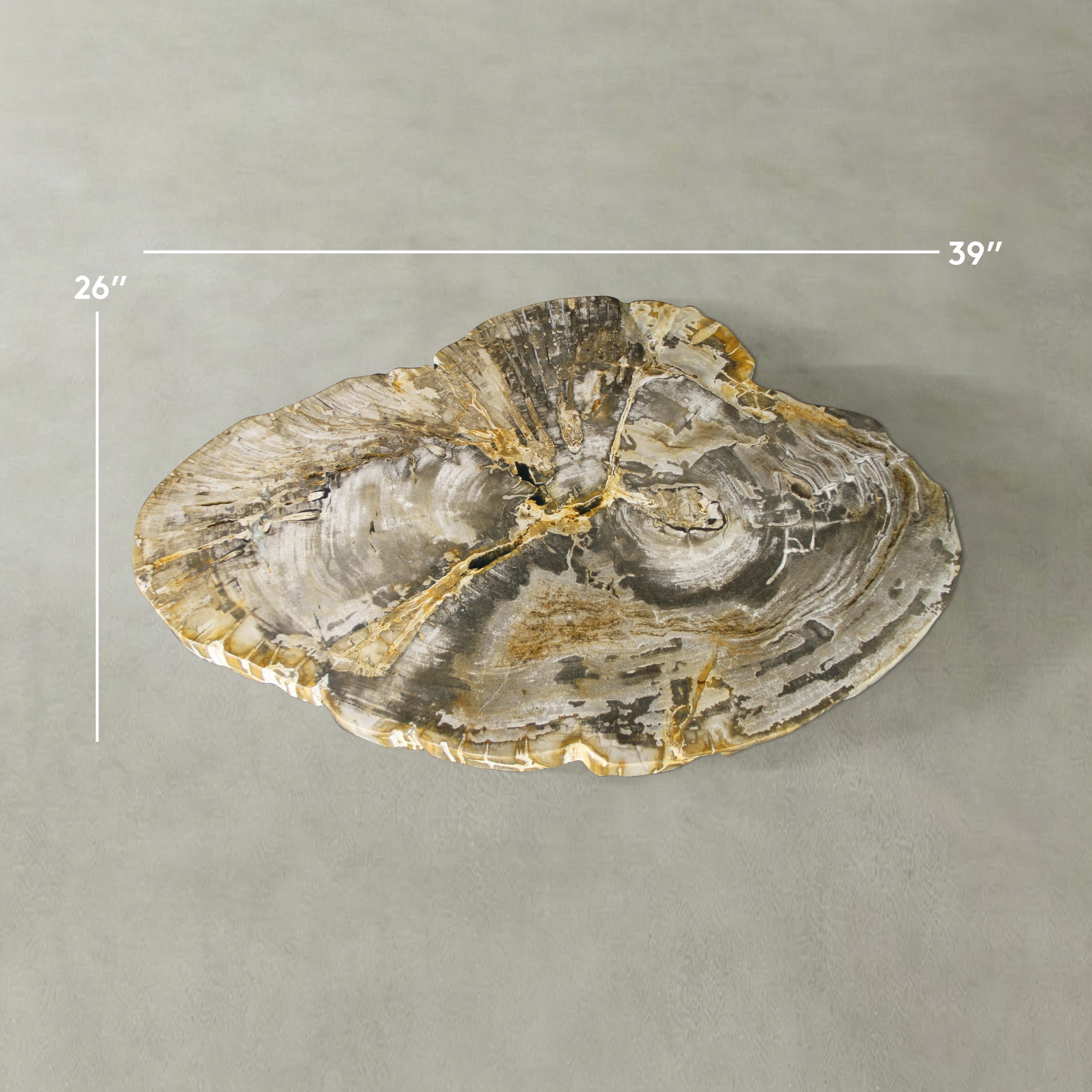 Kalifano Petrified Wood Natural Petrified Wood Round Slab Coffee Table from Indonesia - 39" / 130 lbs PWT5300.002