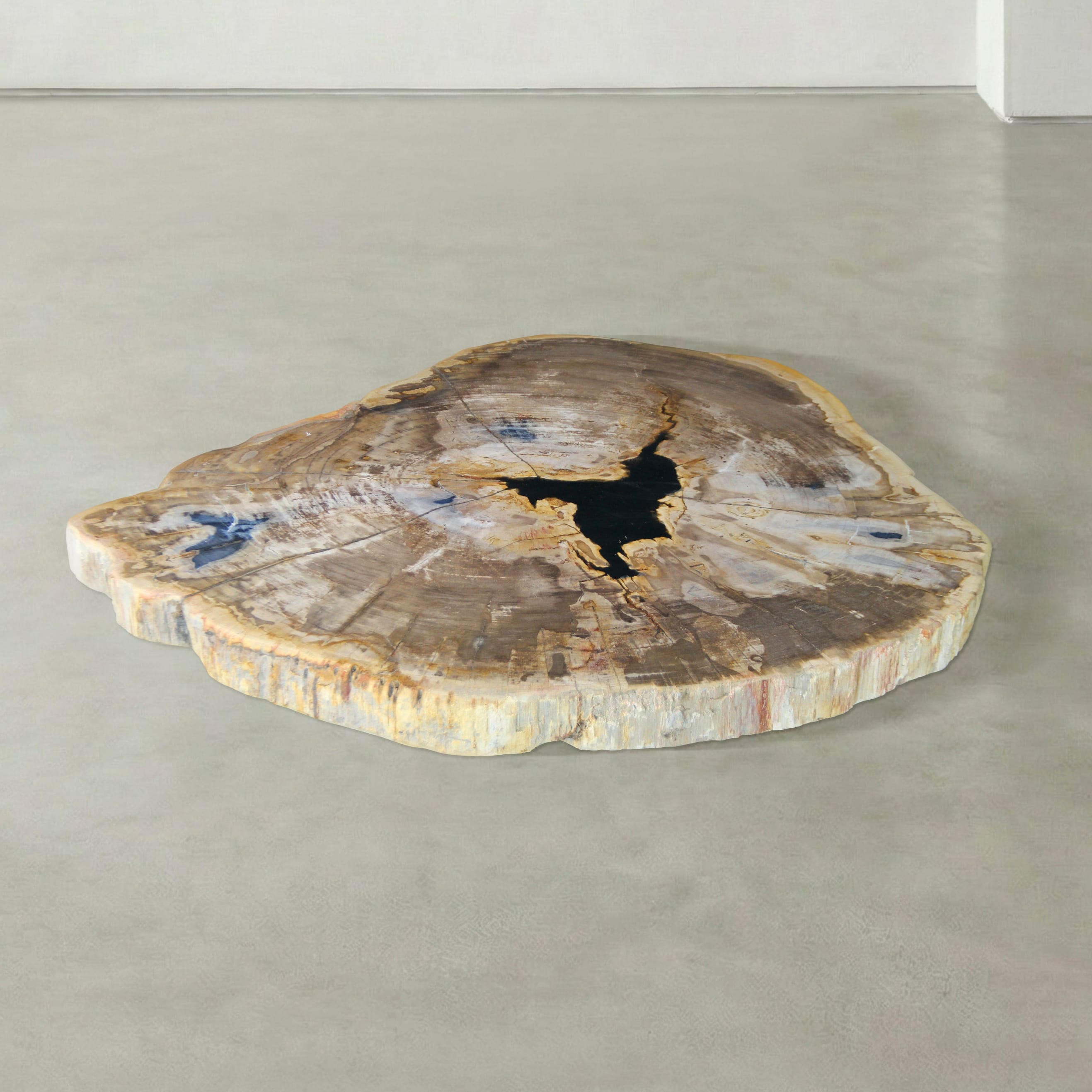 Kalifano Petrified Wood Natural Petrified Wood Round Slab Coffee Table from Indonesia - 39" / 227 lbs PWT8800.006